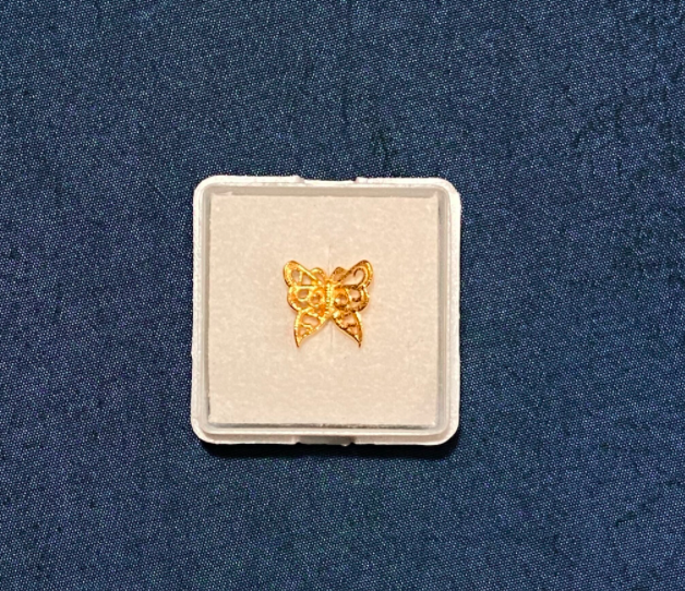 CDAC8C6F-F268-4484-9CF2-DB296BF93221