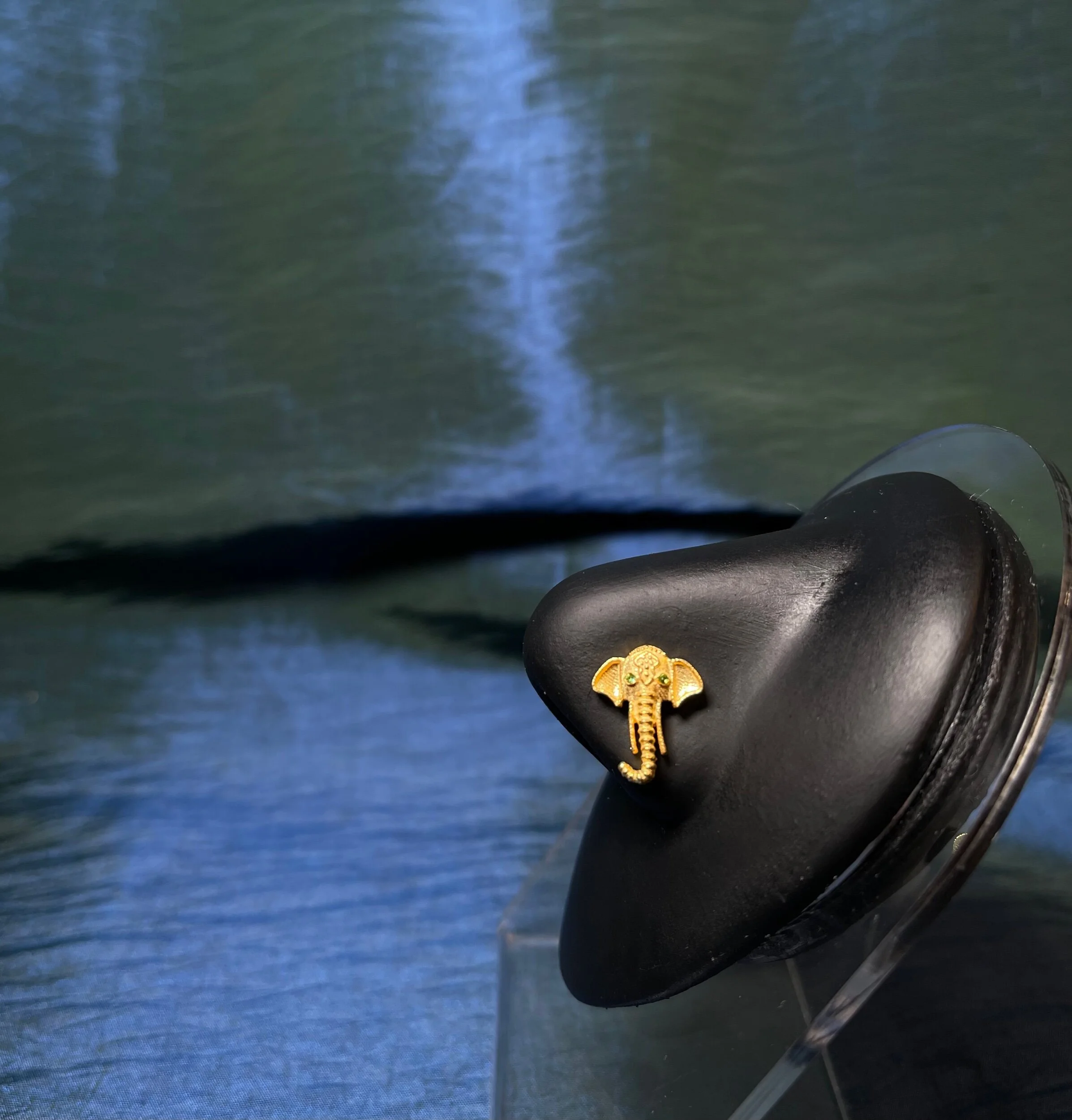 4F117BB5-C570-4FFB-9F71-133E7B9F1FA1