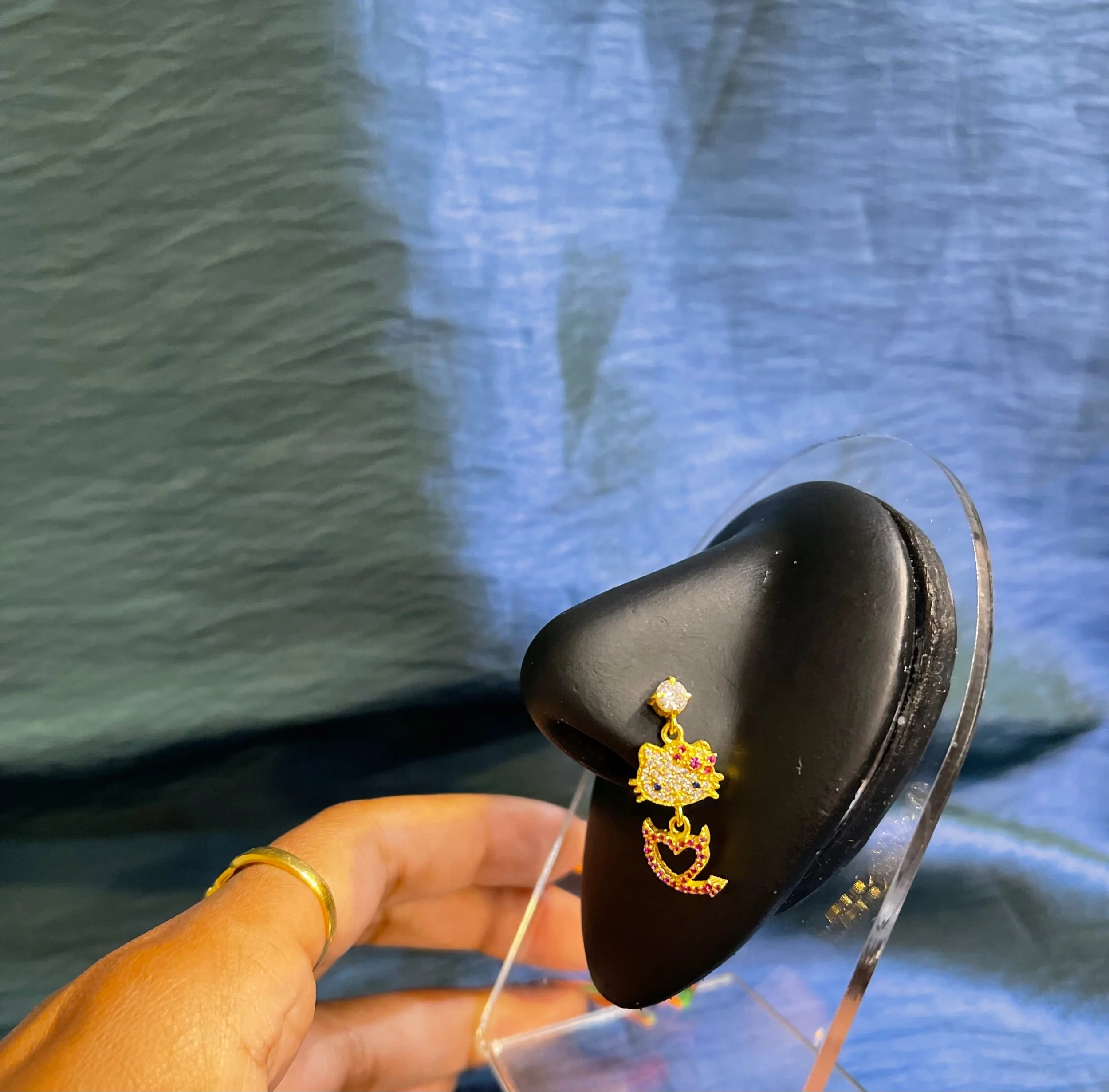 5CE42146-0A86-4456-85FB-E44C7A91733B