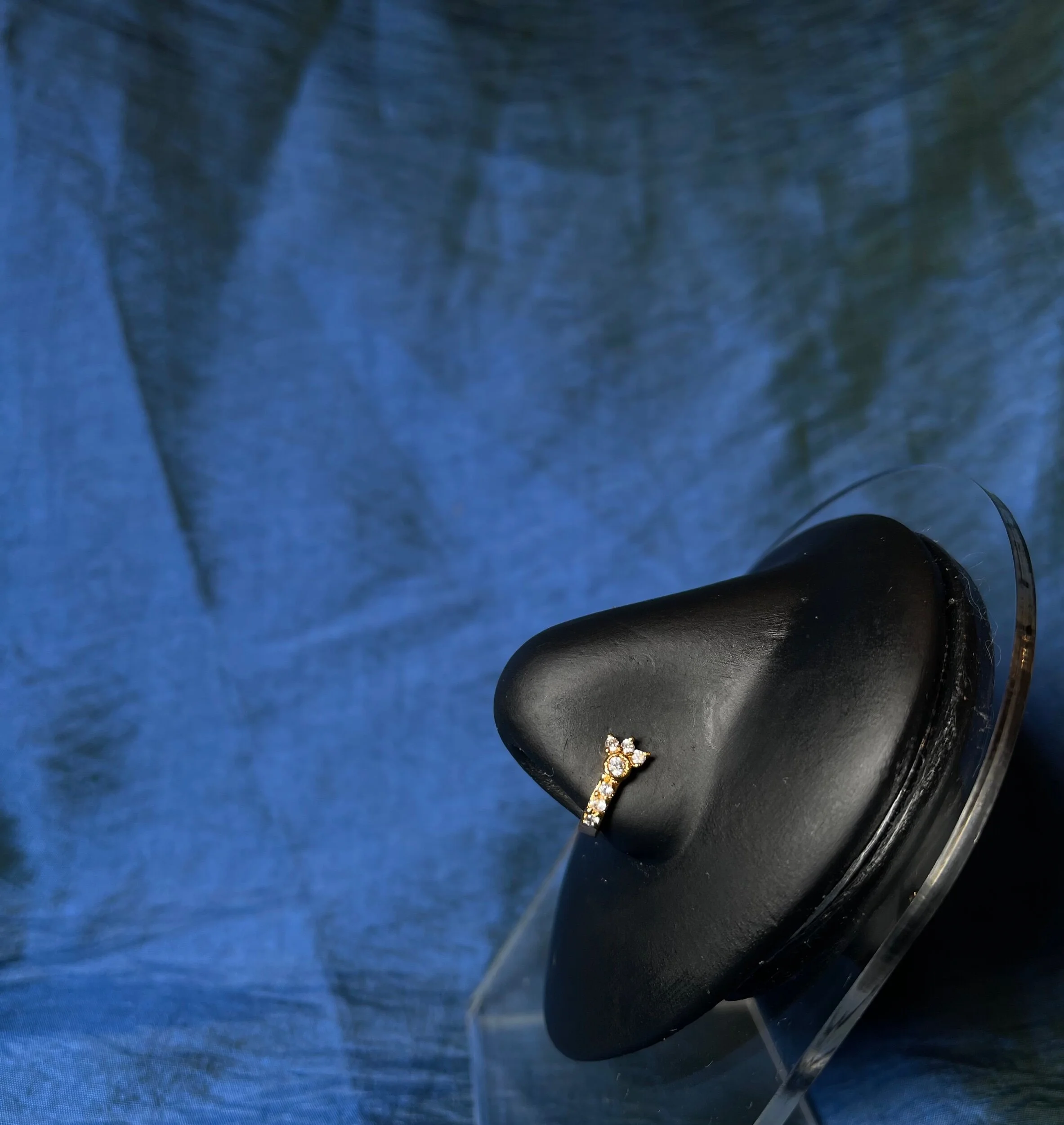 F53CB265-3A43-4389-B5EE-6ED9EB5D8859