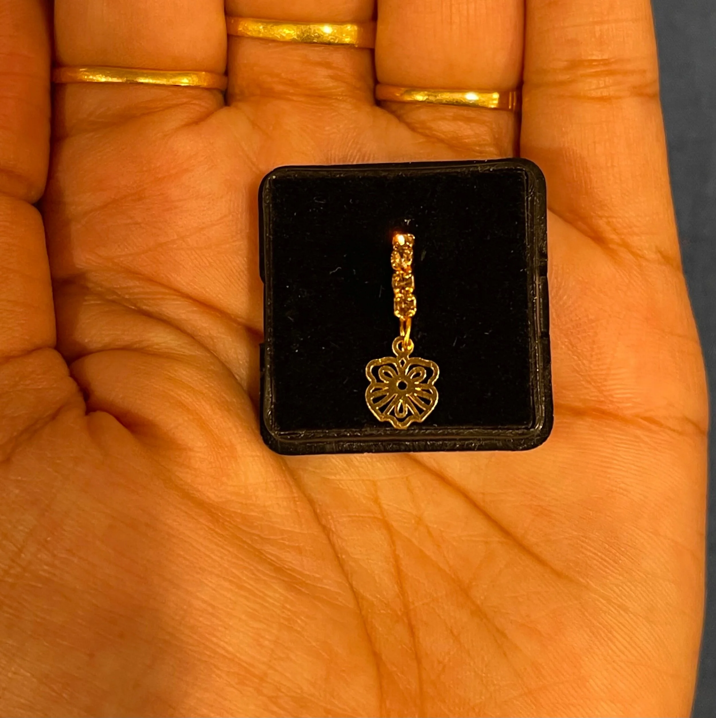 4962C332-79F0-43C5-A34C-4A19EAB10430