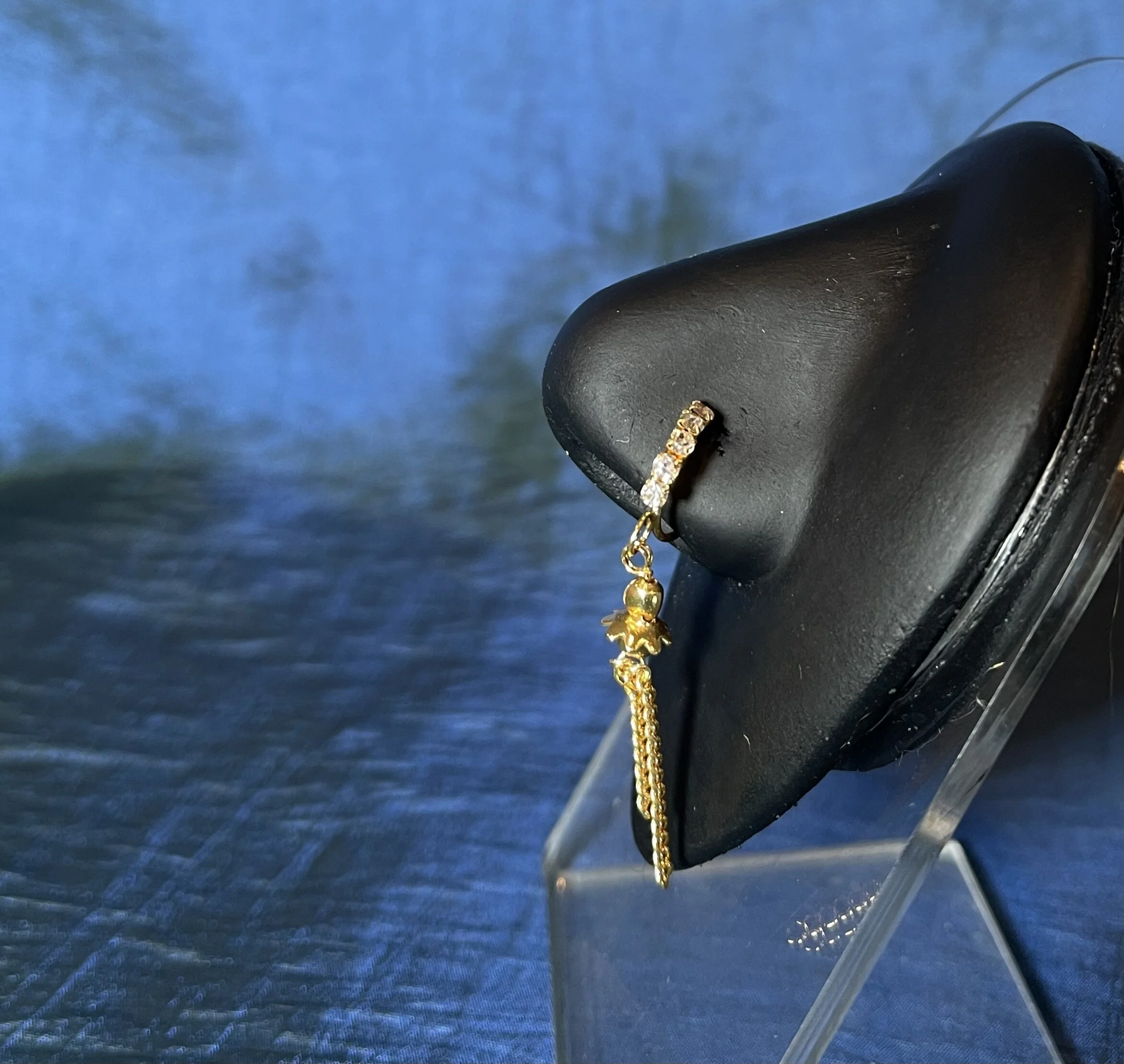 23C4D7B6-4506-435C-B246-CD3B6BB2FFCF