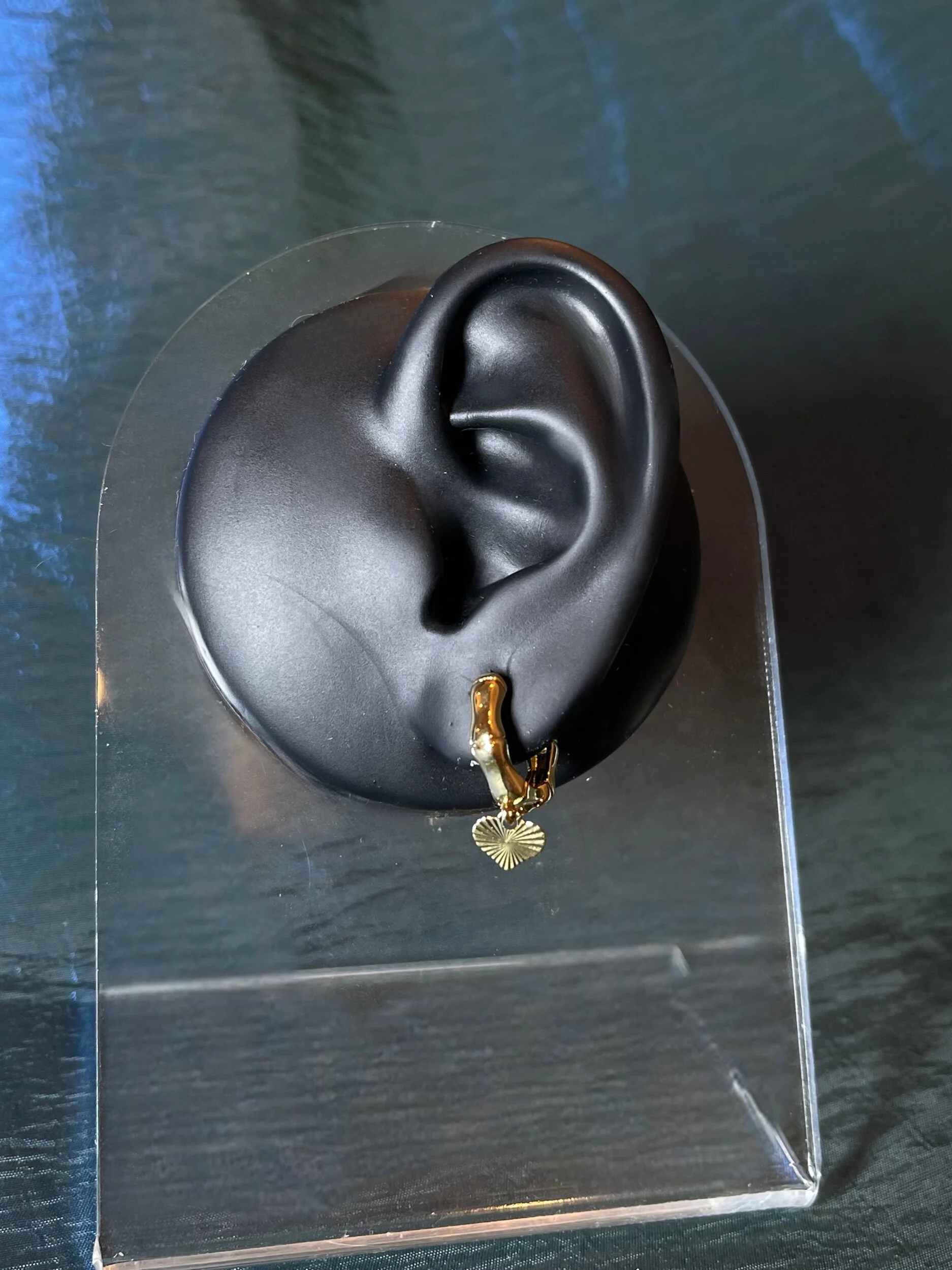 5F4C3A8B-CC4E-46B2-9CC6-FF1F1A9DED3E