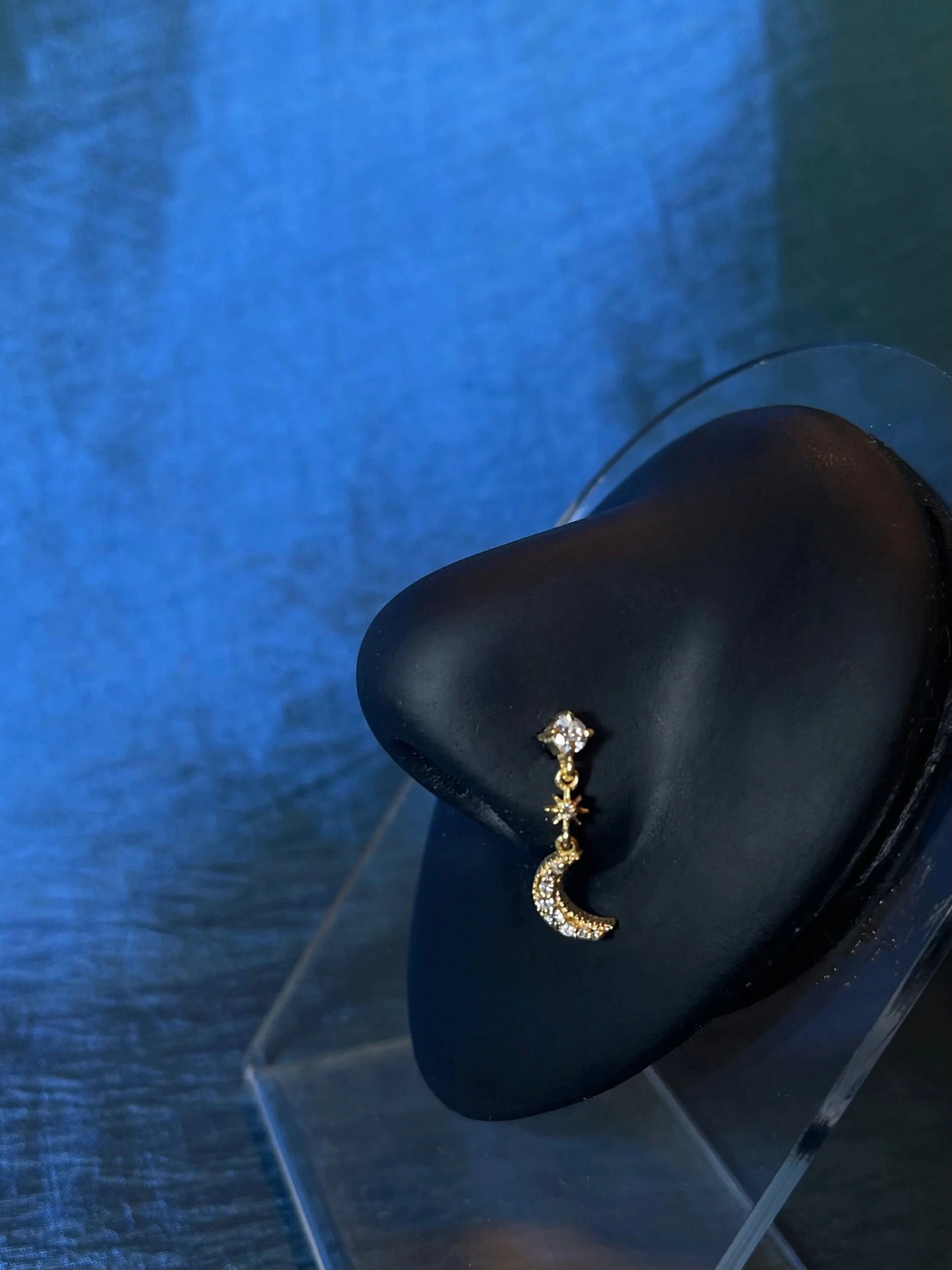 1DC417BB-B99C-43F0-8661-5B7CFF2D11FD