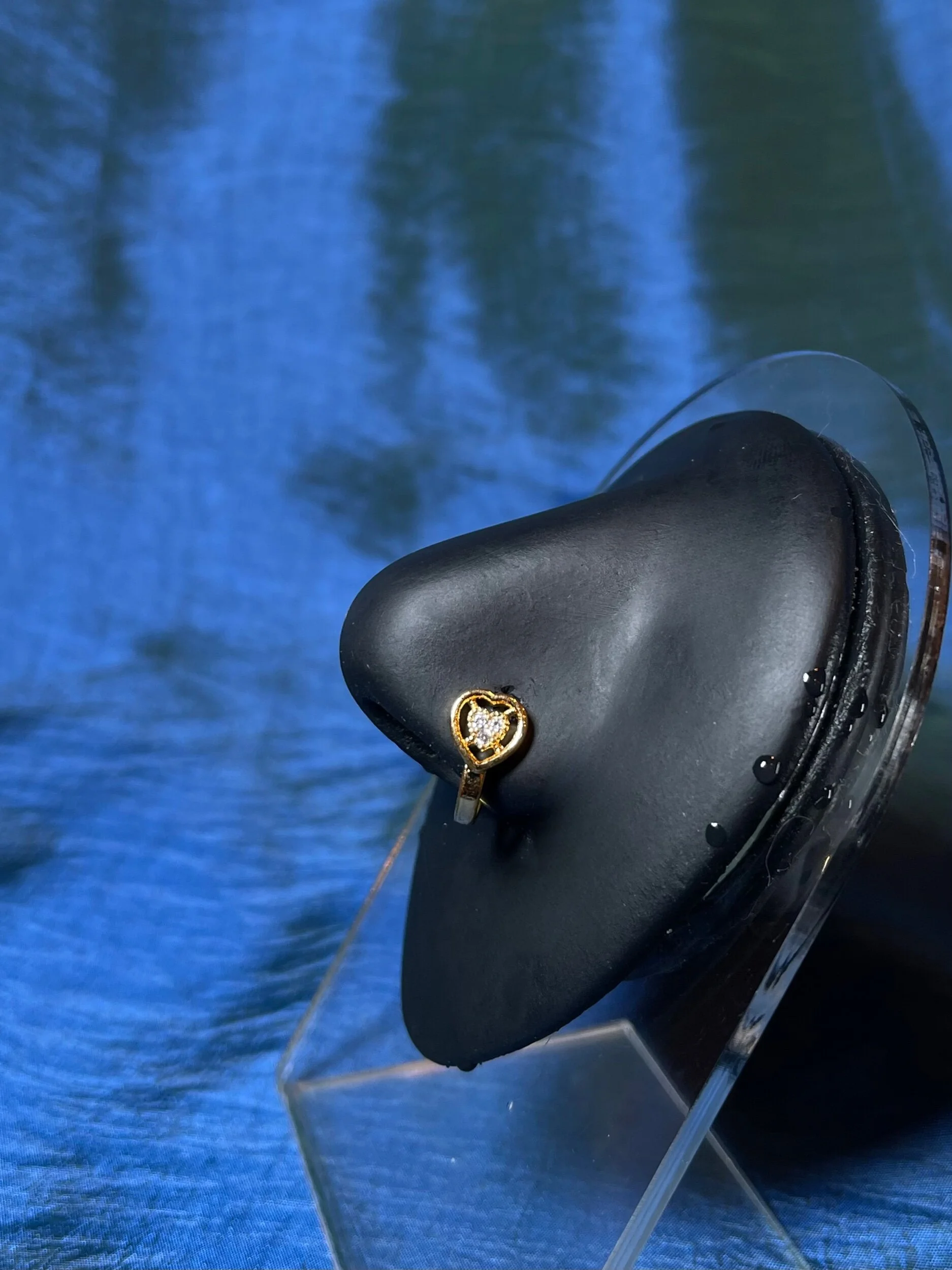 A1848247-F853-488D-ADCB-88E06A822502