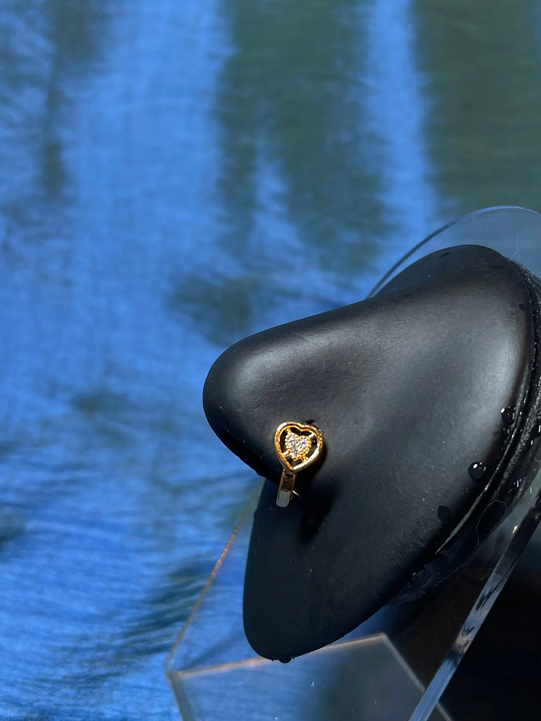 1C674CC3-9CD0-4DBF-A1B0-B7F490C2FF4B