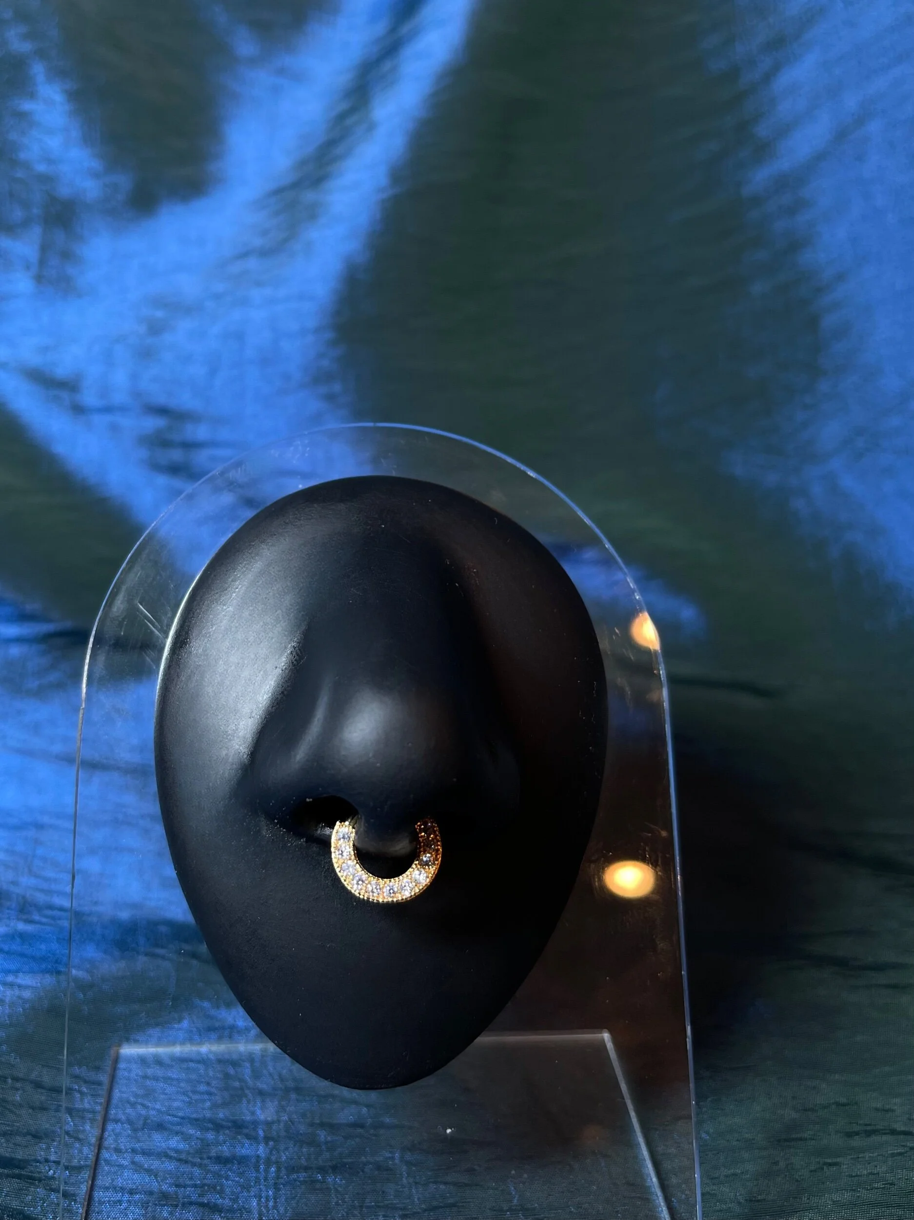 80F36FEA-E2D2-4D69-BC3C-70E118A64DA6