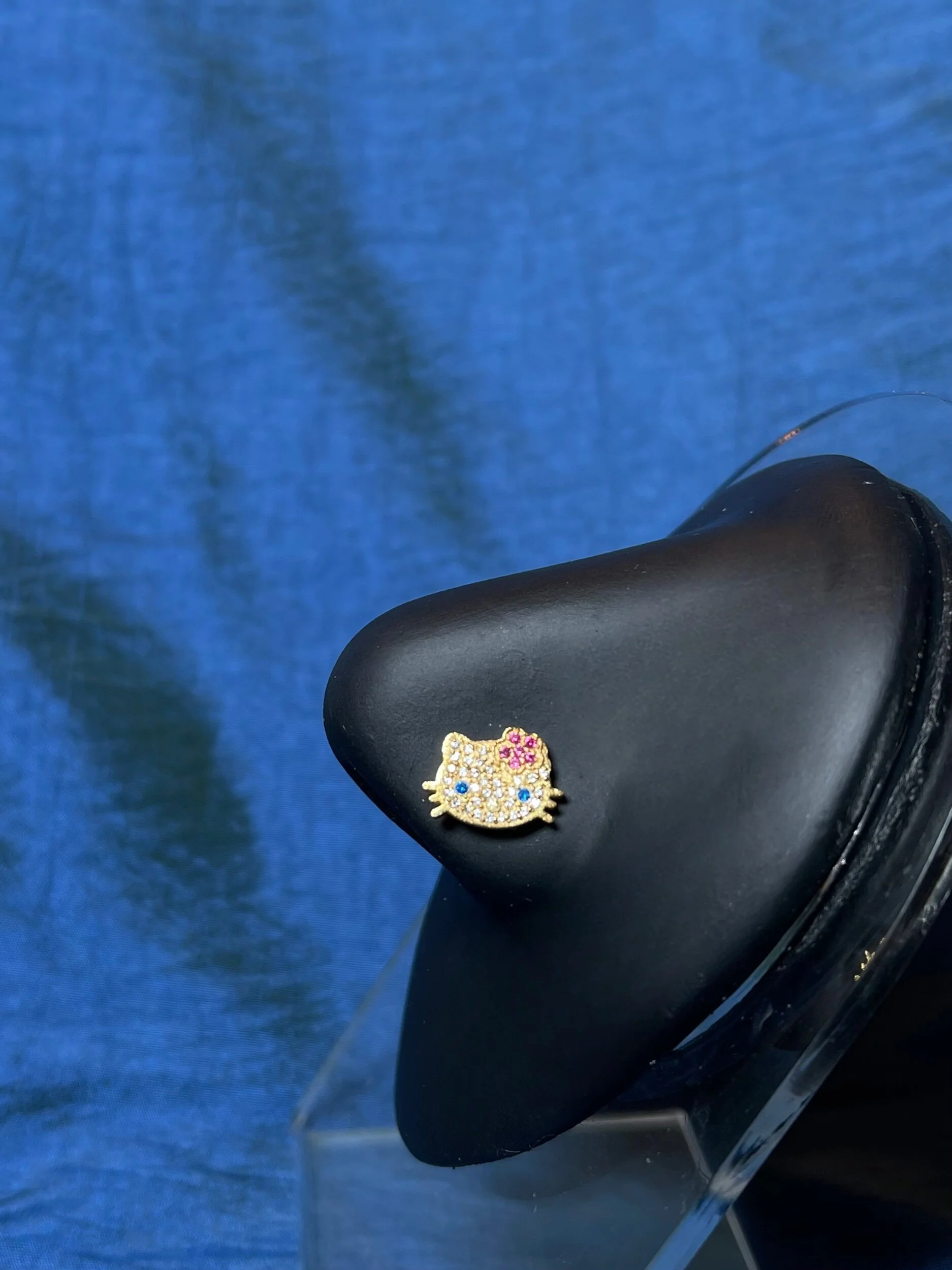 3C8B8A3B-2B63-4A6F-8B1E-5013701E4E45