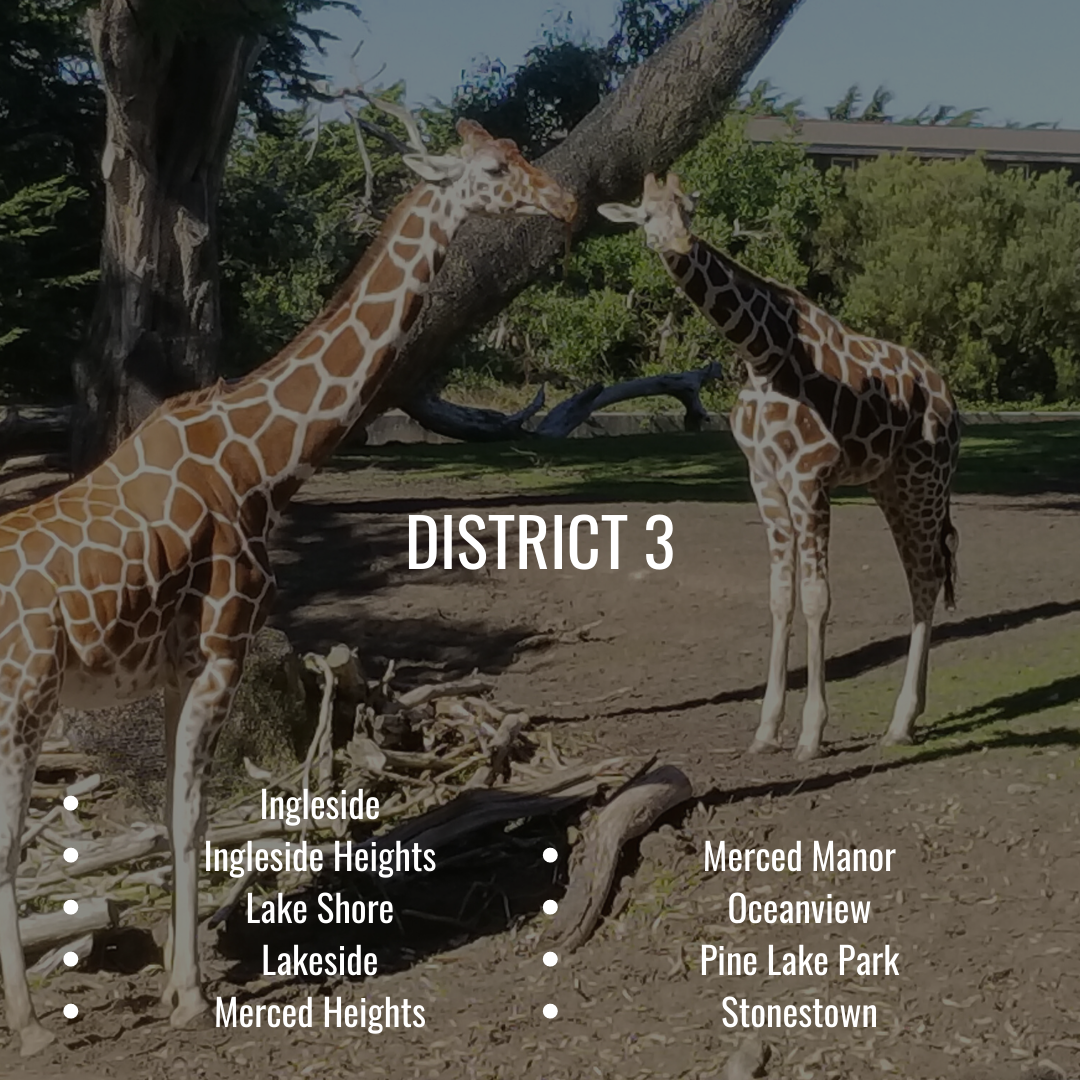 San Francisco District 3