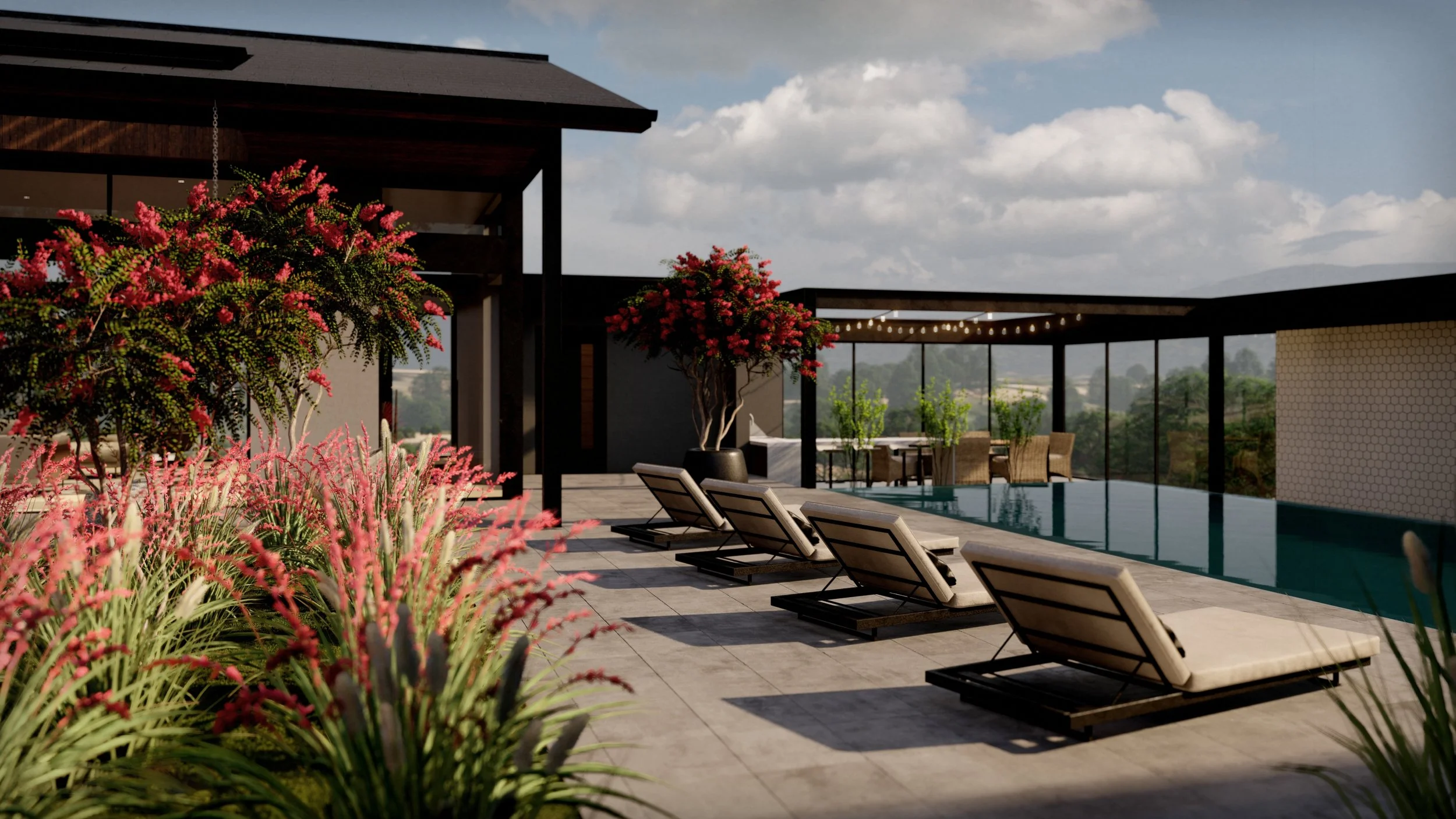 BACKYARD - 2.jpg