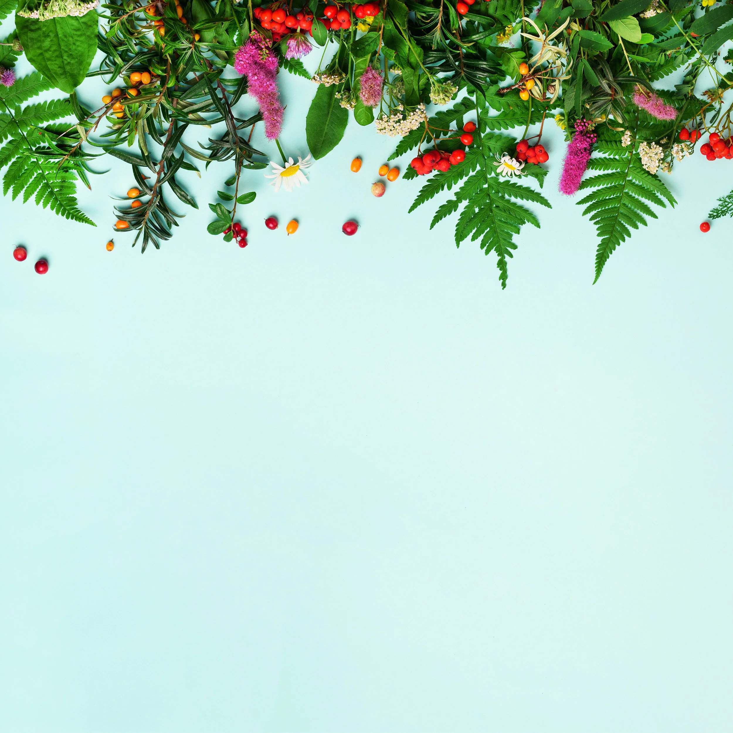 Mine favoritt tilskudd