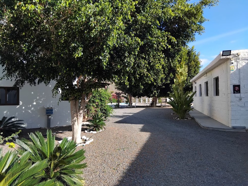 WhatsApp Image 2025-08-26 at 14.04.20.jpeg