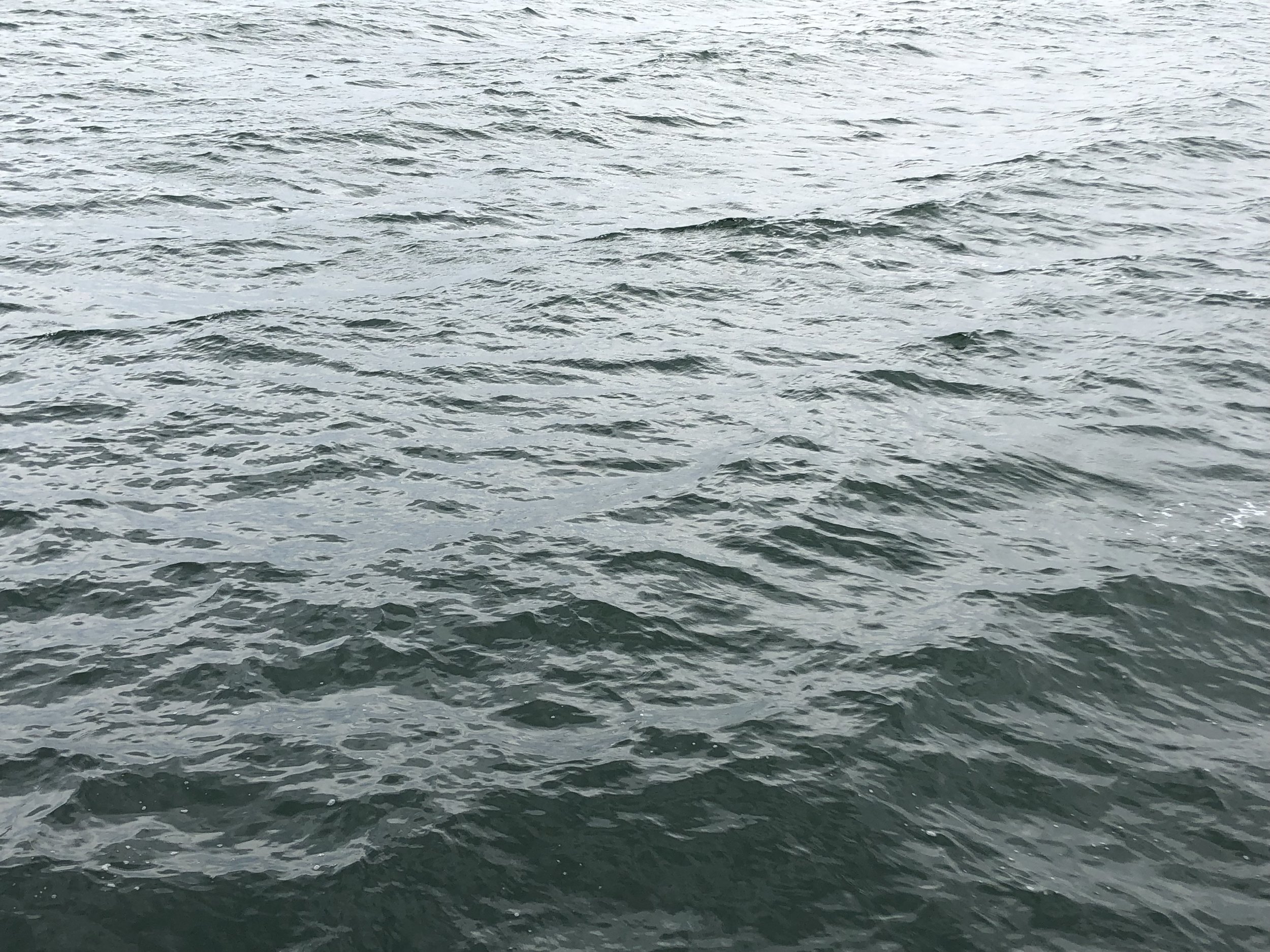 MURRAY-DARLING BASIN COMMISSION OF INQUIRY BILL 2019