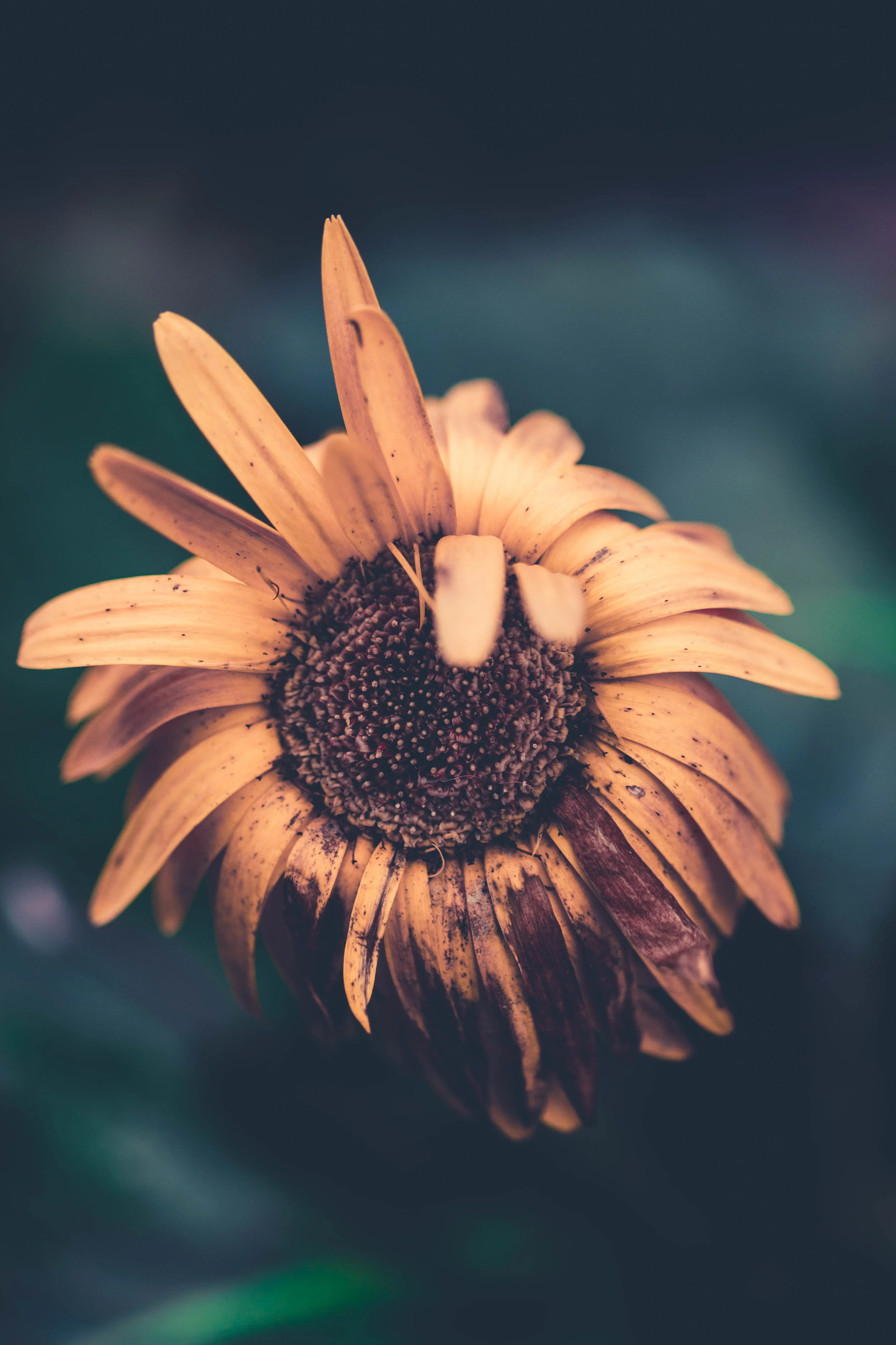 Release: NSW pollies make princely expenditures while taxpayers struggle