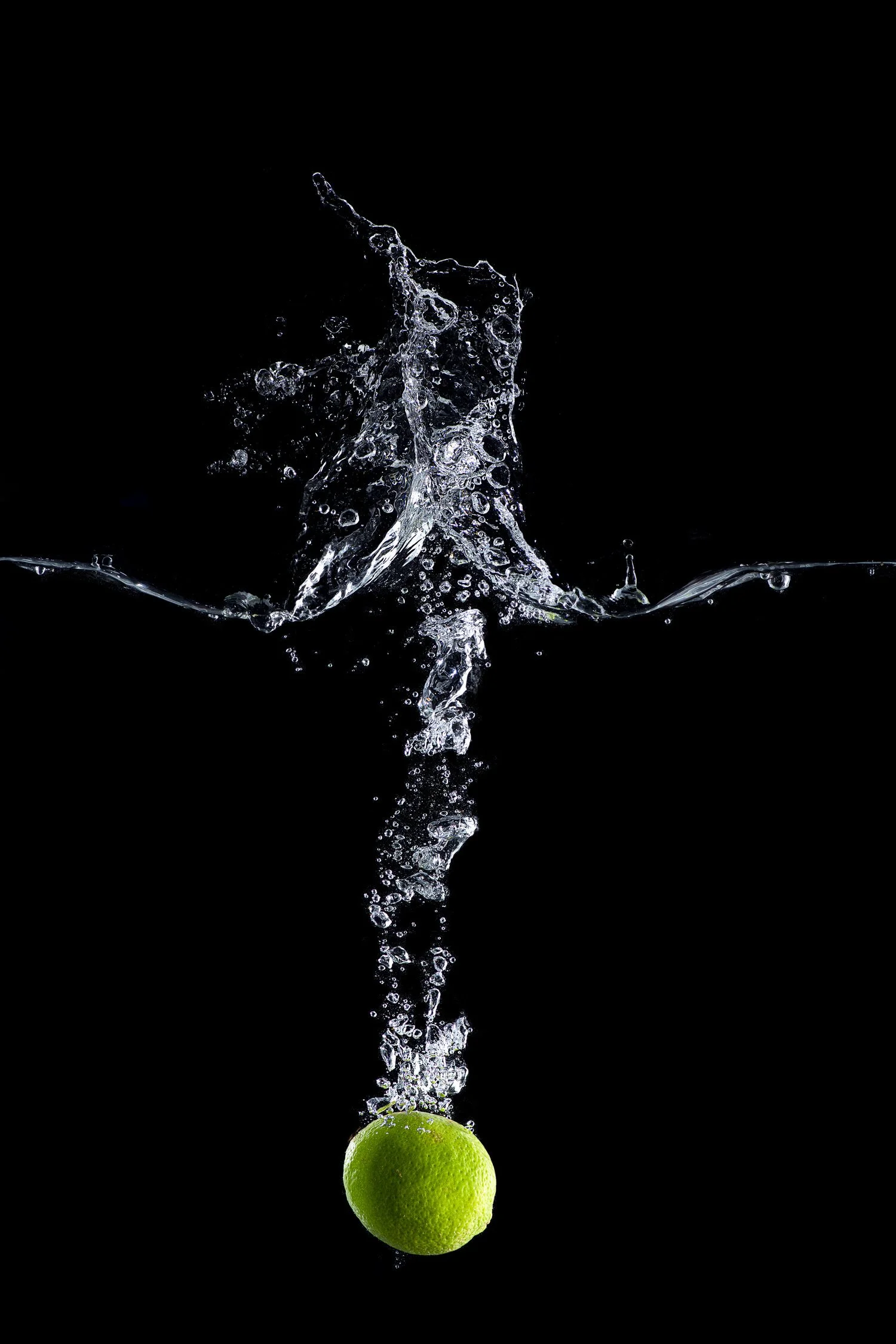  SPLASH! 