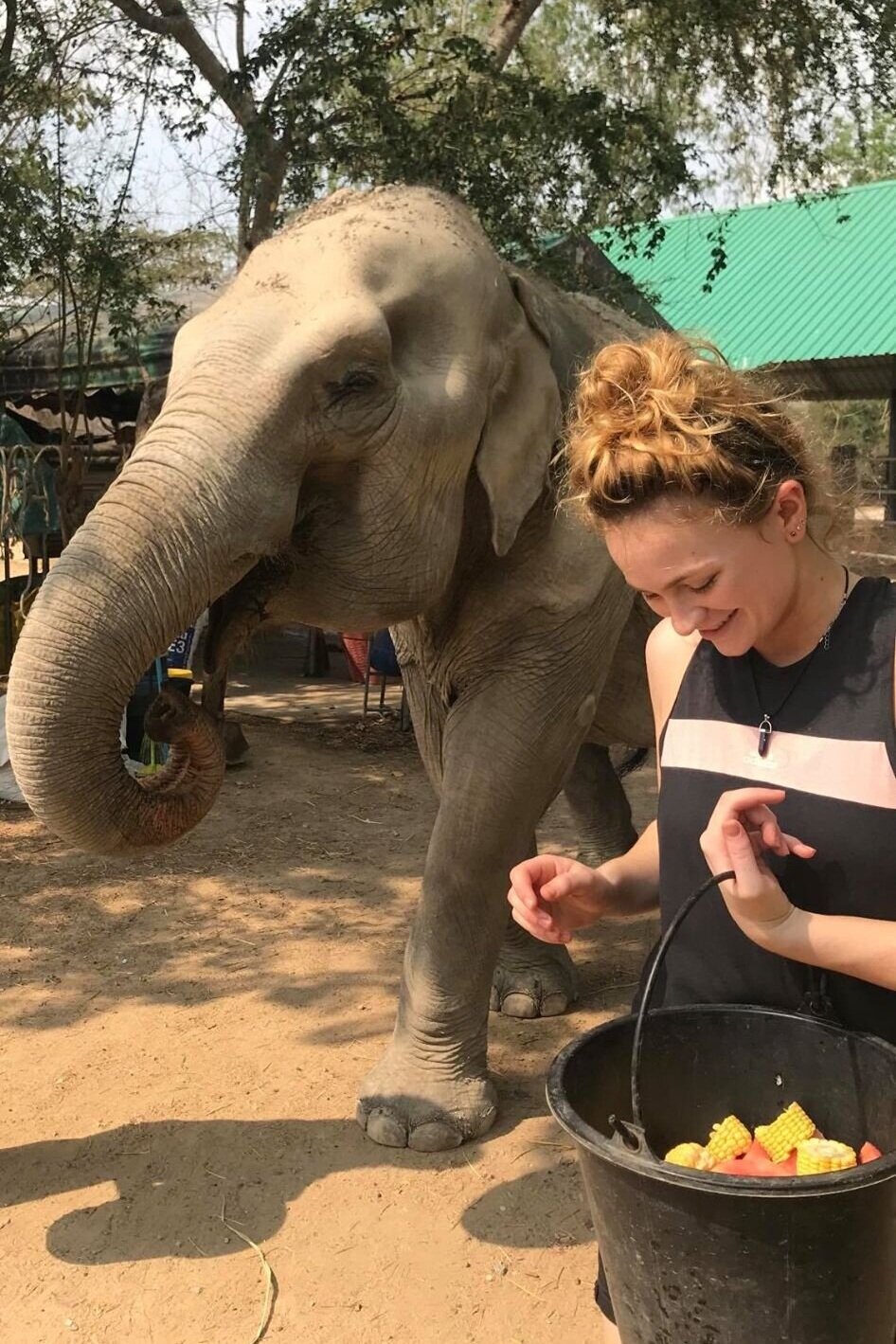 Sophie feeding an elephant on her trip to Thailand. Photo: Sophie Brown/Belfast News and Features
