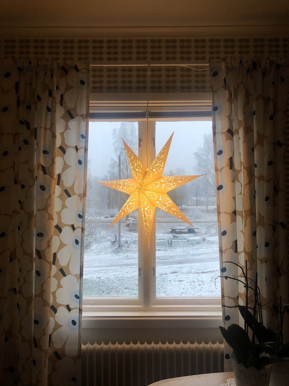 A festive star hanging in Nadia's window. Photo: Nadia Henderson