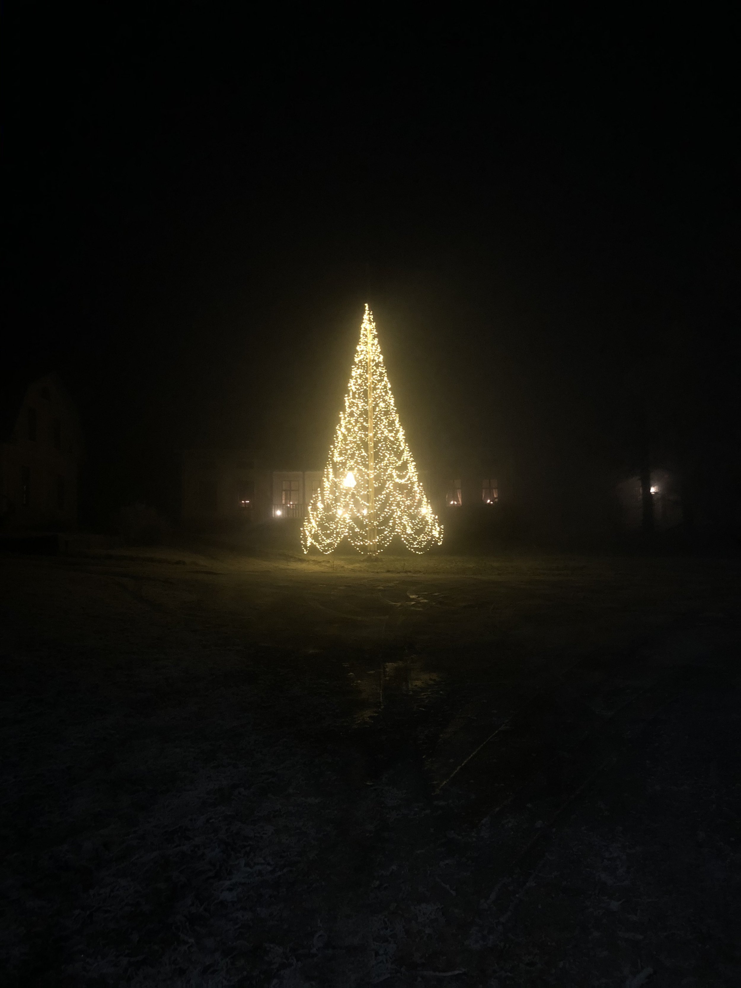 An outdoor Christmas tree near Nadia's home in Sweden. Photo: Nadia Henderson