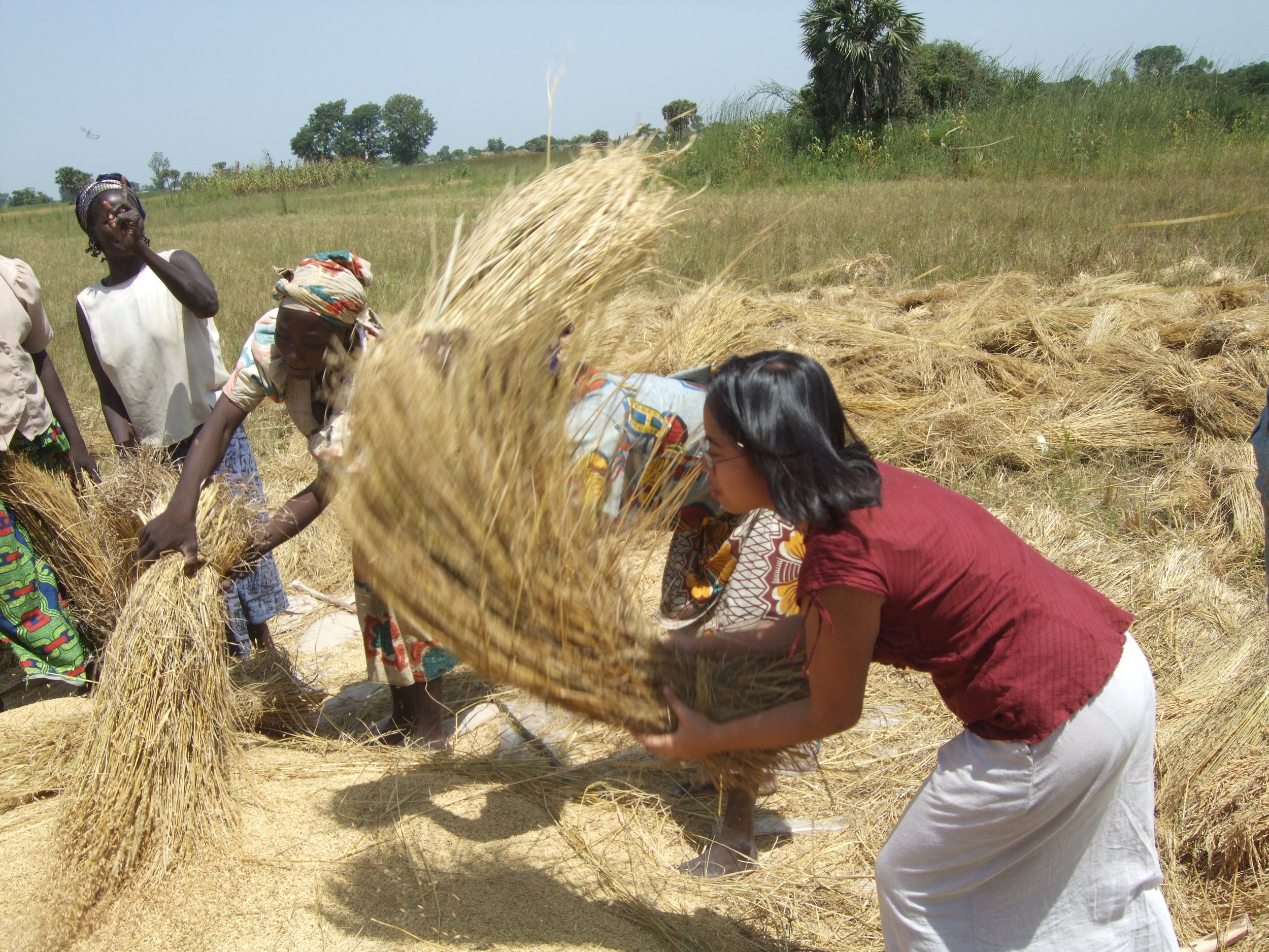 Annie helping villages with their harvest after arriving to volunteer in the local hospital