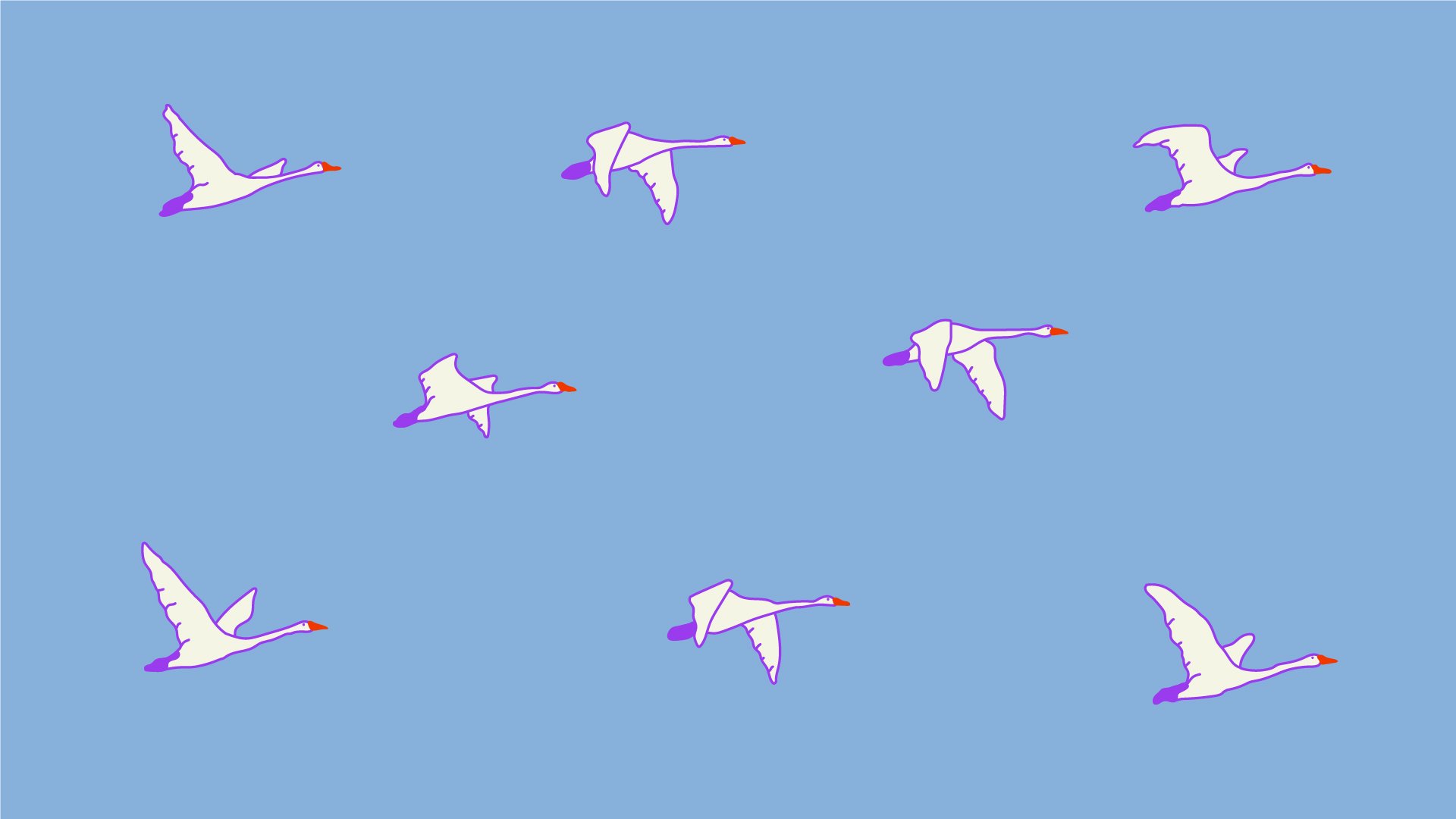 bird in flight_Tavola disegno 1.jpg