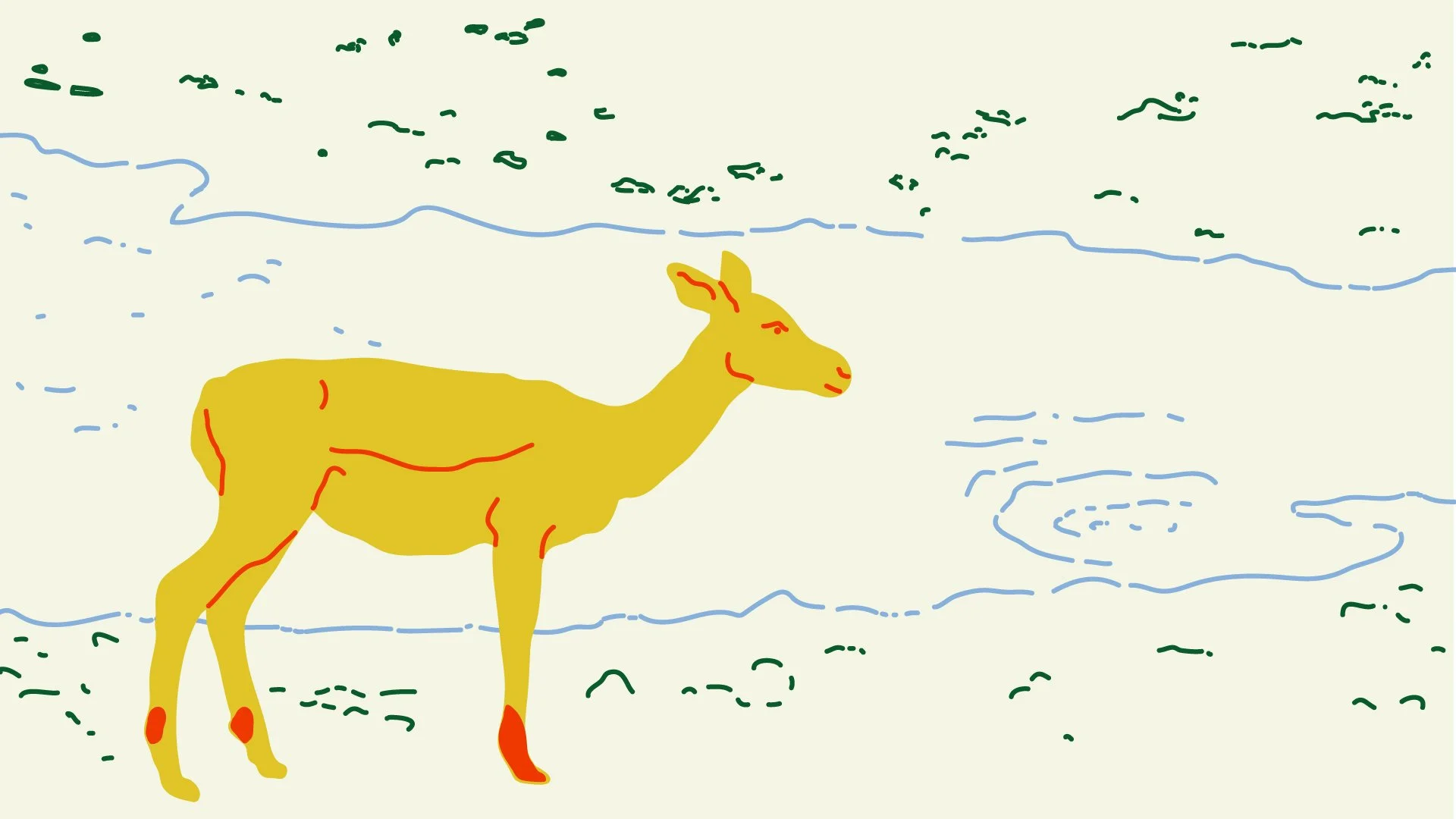 antilope_Tavola disegno 1.jpg