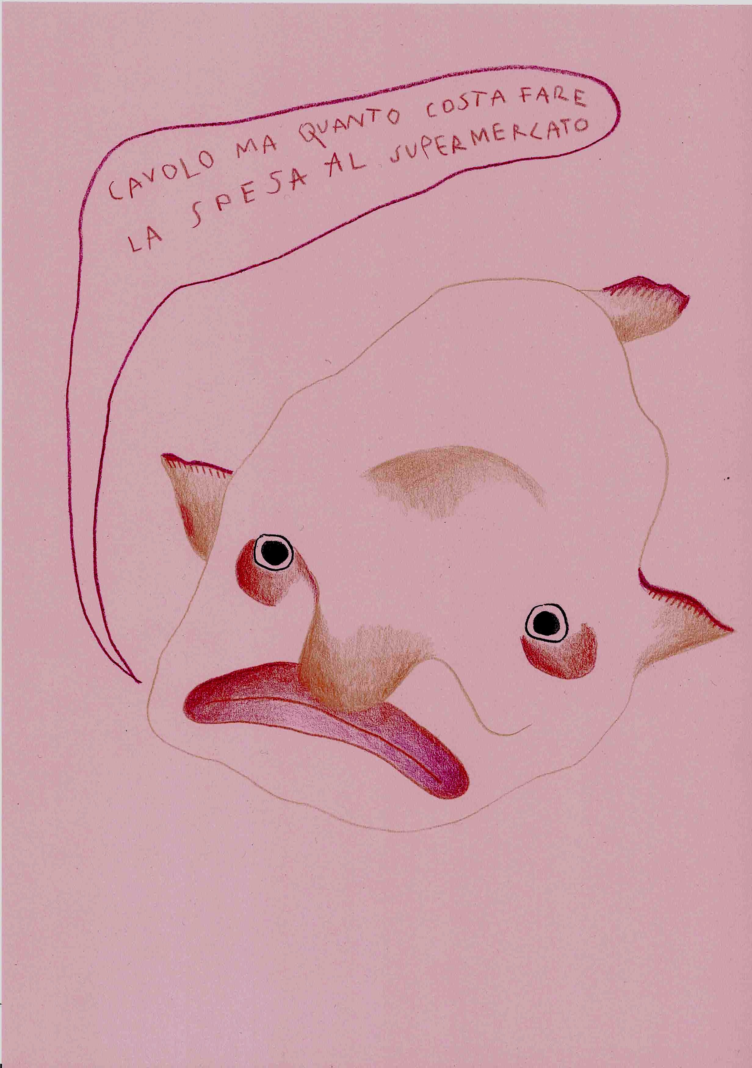 blobfish preoccupato per il carovita.jpeg