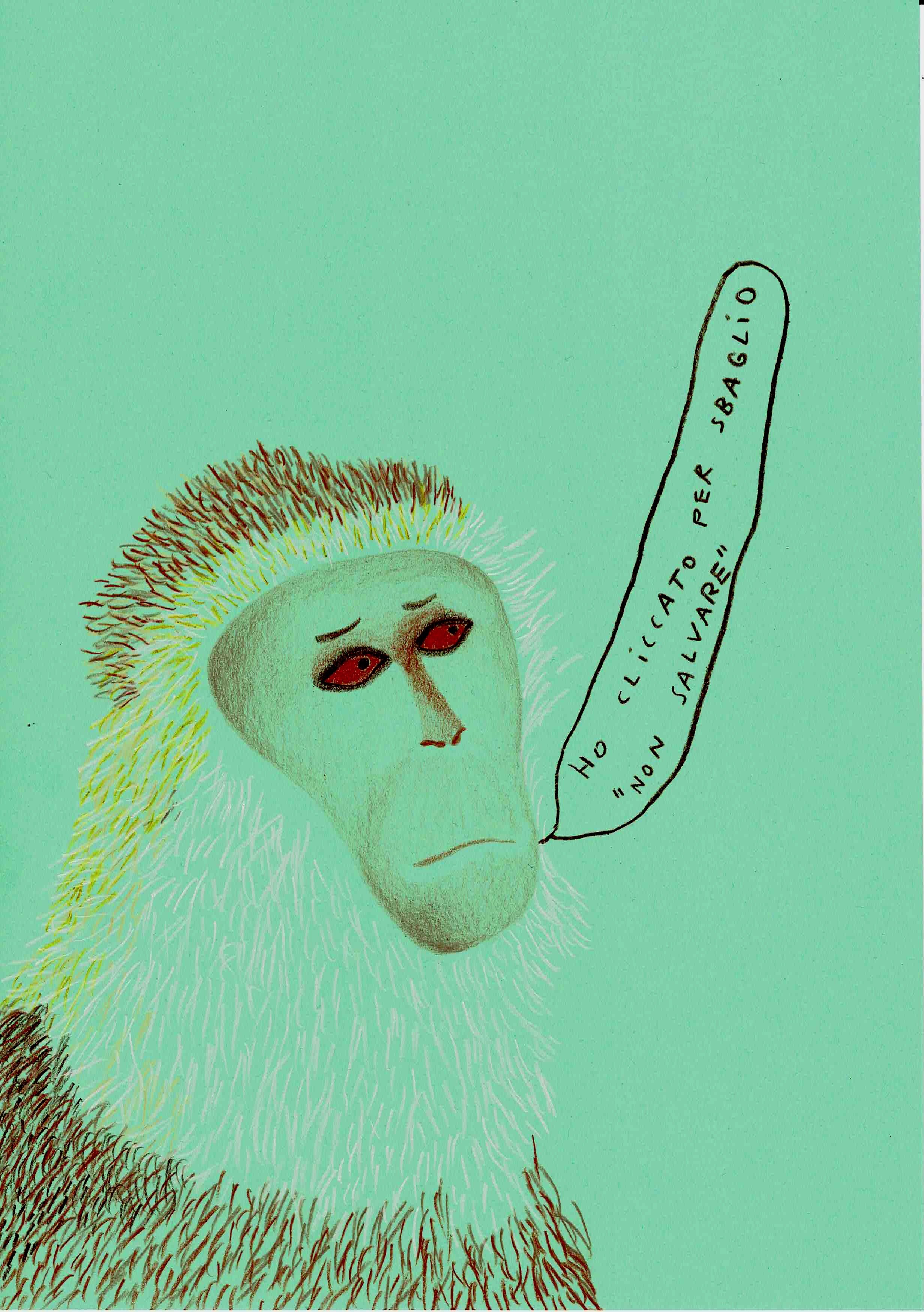 cercopiteco esausto.jpeg