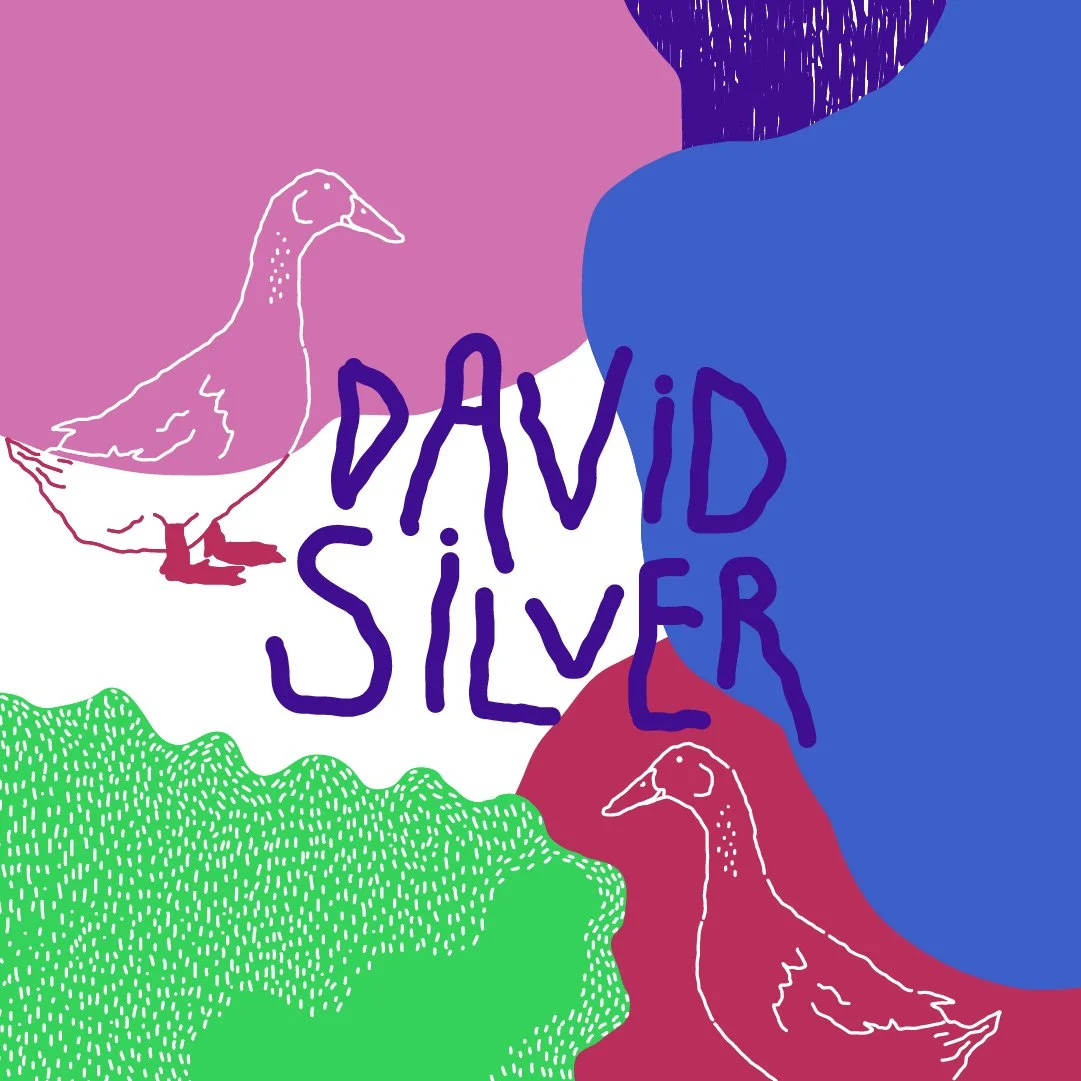 david silver_quadrato.jpg