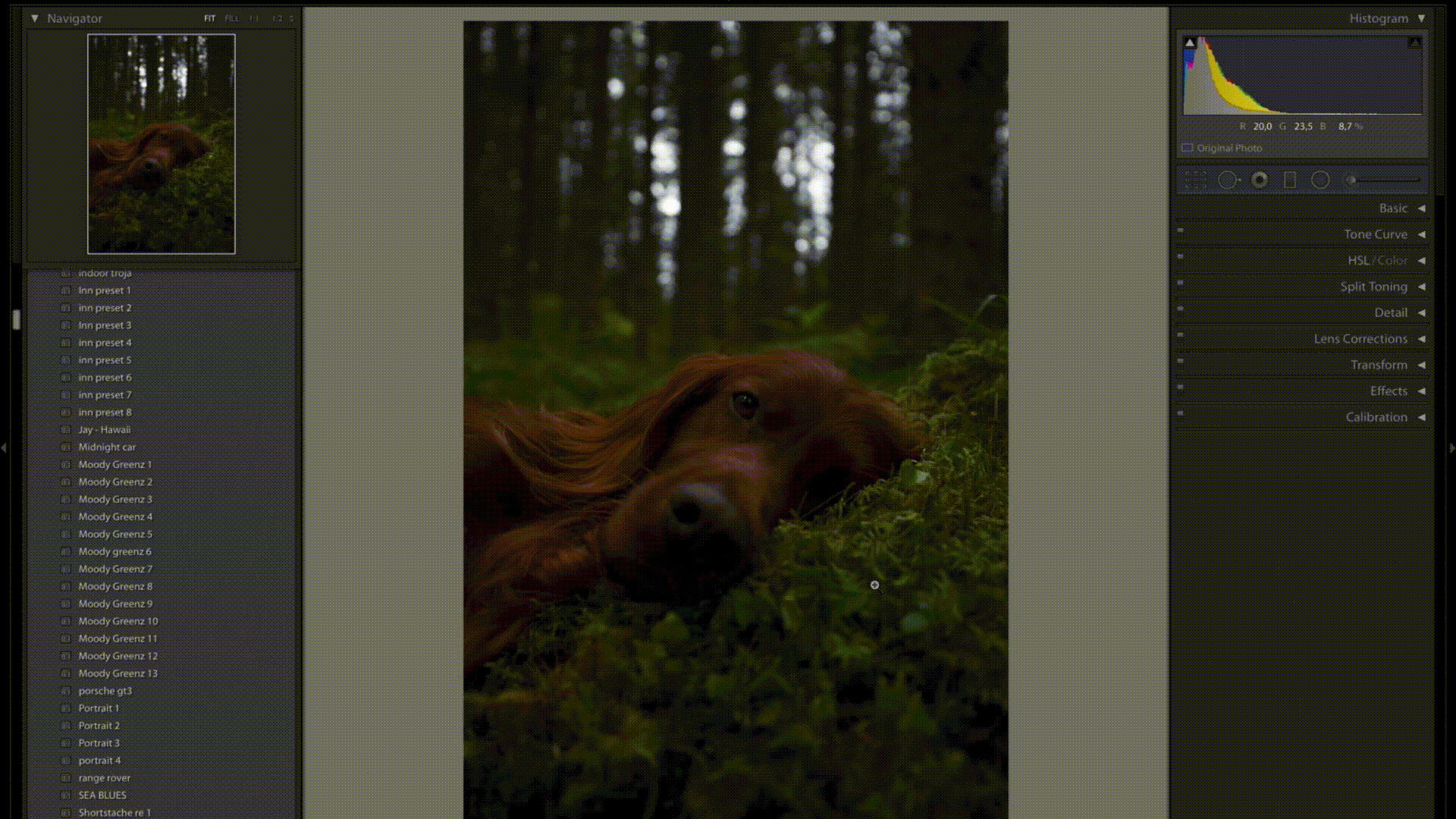 Sq vid cut 1 re 2.gif