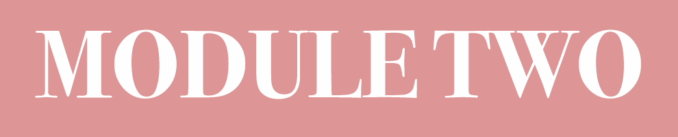 BIGBUTTON module TWO.png