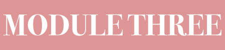 SMALLbutton module 3.png