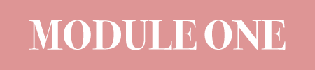 SMALLbutton module 1.png