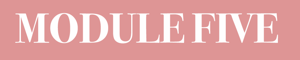 BIGBUTTON module FIVE.png