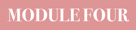SMALLbutton module 4.png