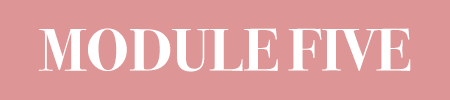 SMALLbutton module 5.png