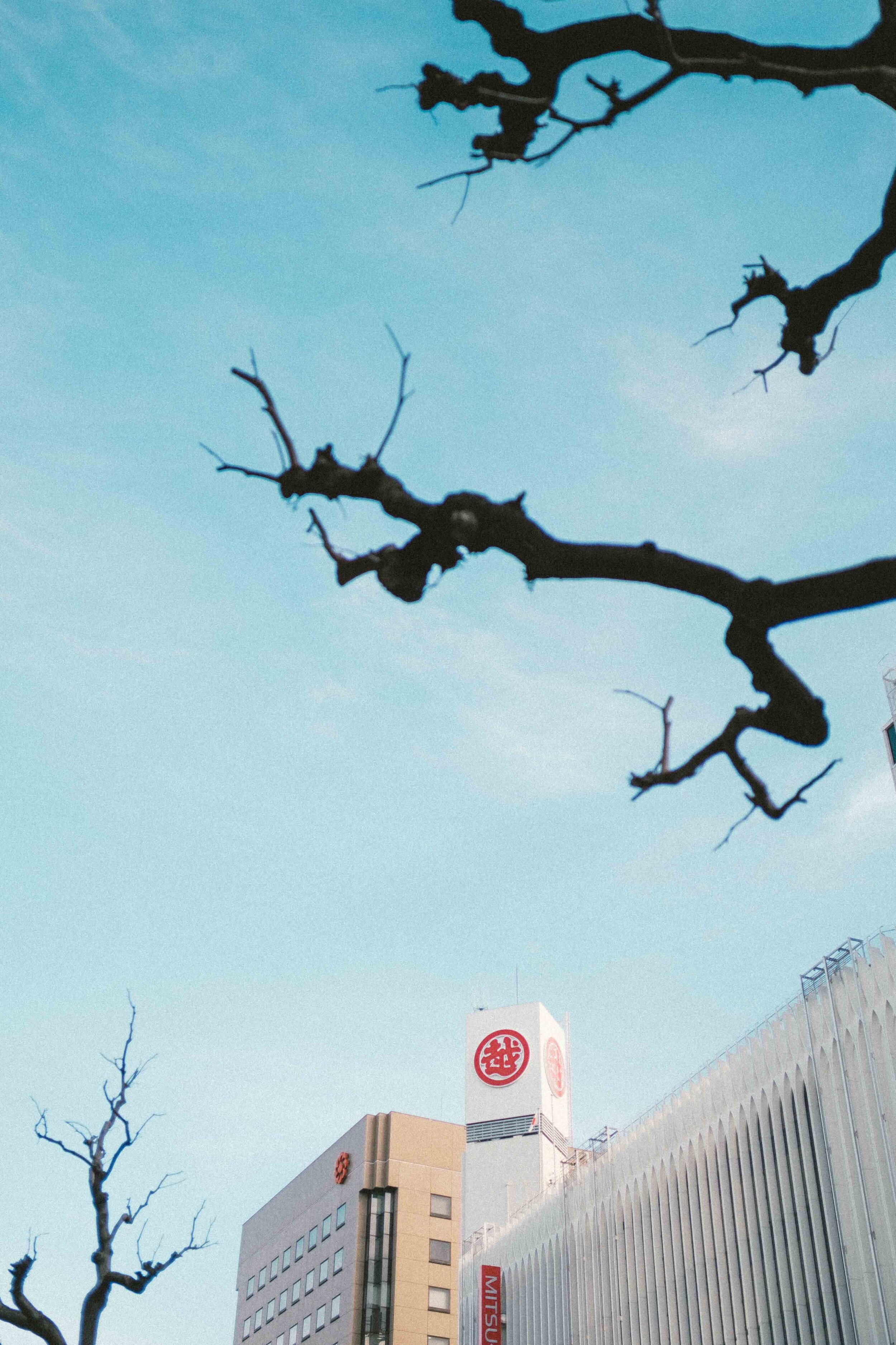 Alfred Chiu 空 Alfred Chiu 空