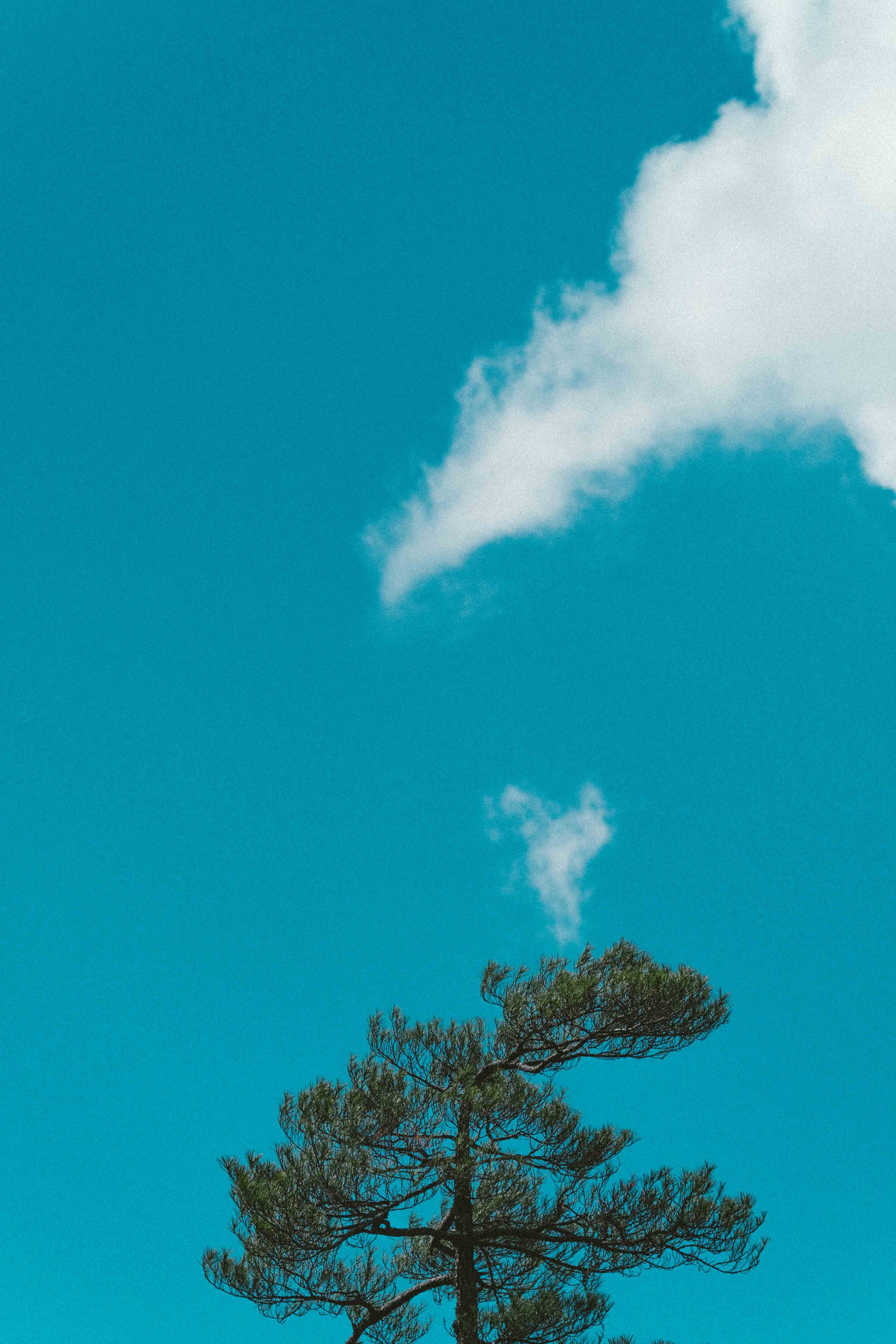 Alfred Chiu 空 Alfred Chiu 空