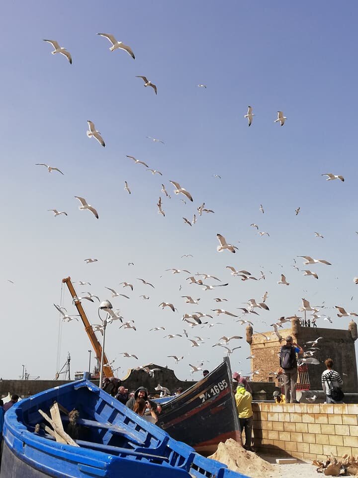 riad-zamzam-marrakech-spa-morocco-luxury-holiday-explore-daytrips-essaouira-beach-coast.jpg