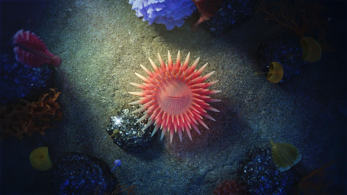 Some stills from our latest project for @greenpeace, reminding you that some anemones are just too cute to be mined 🪸