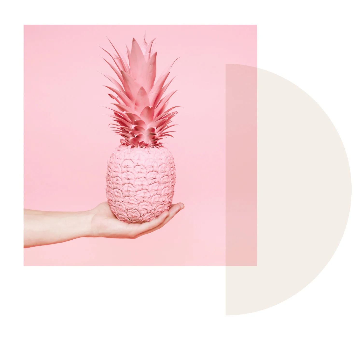 web_ananas1.jpg