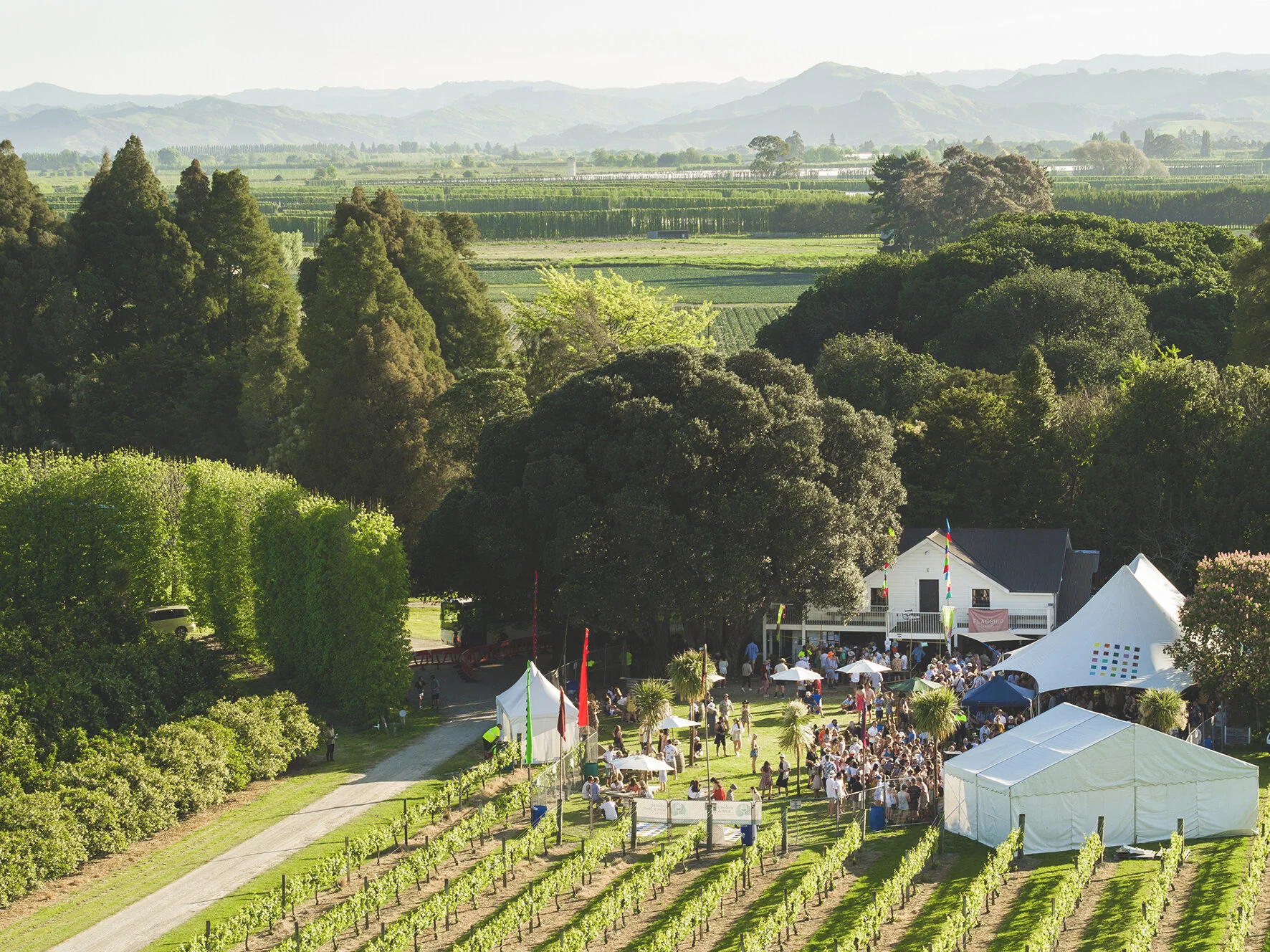 Stunning afternoon at TW Wines for the 2019 Festival, 25+ degree weather and lots of sunshine!