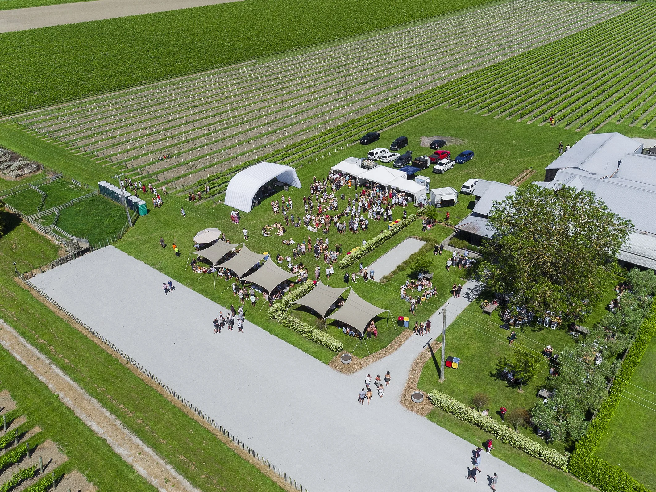 DJI_0492 Web.jpg