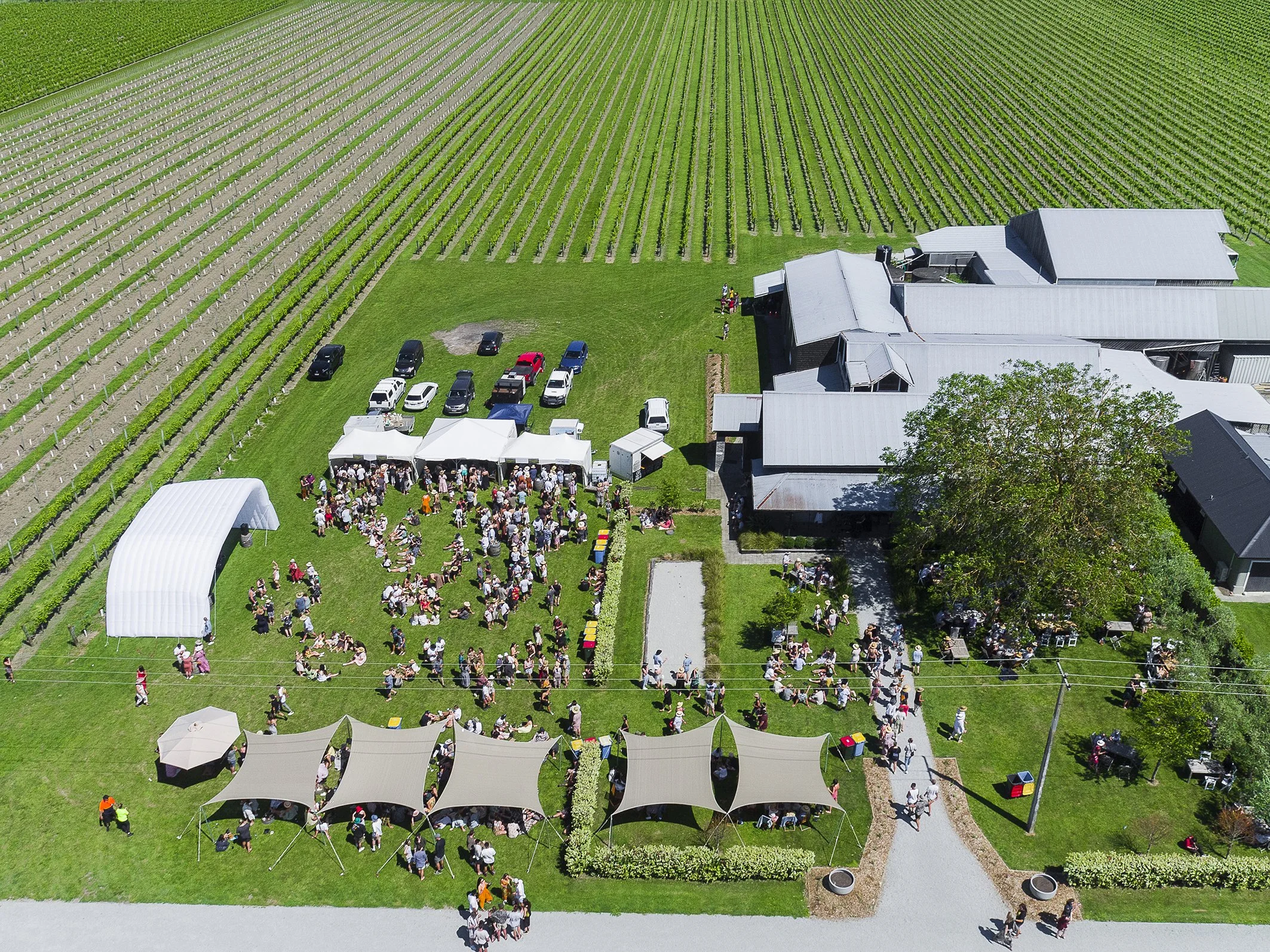 DJI_0497 Web.jpg