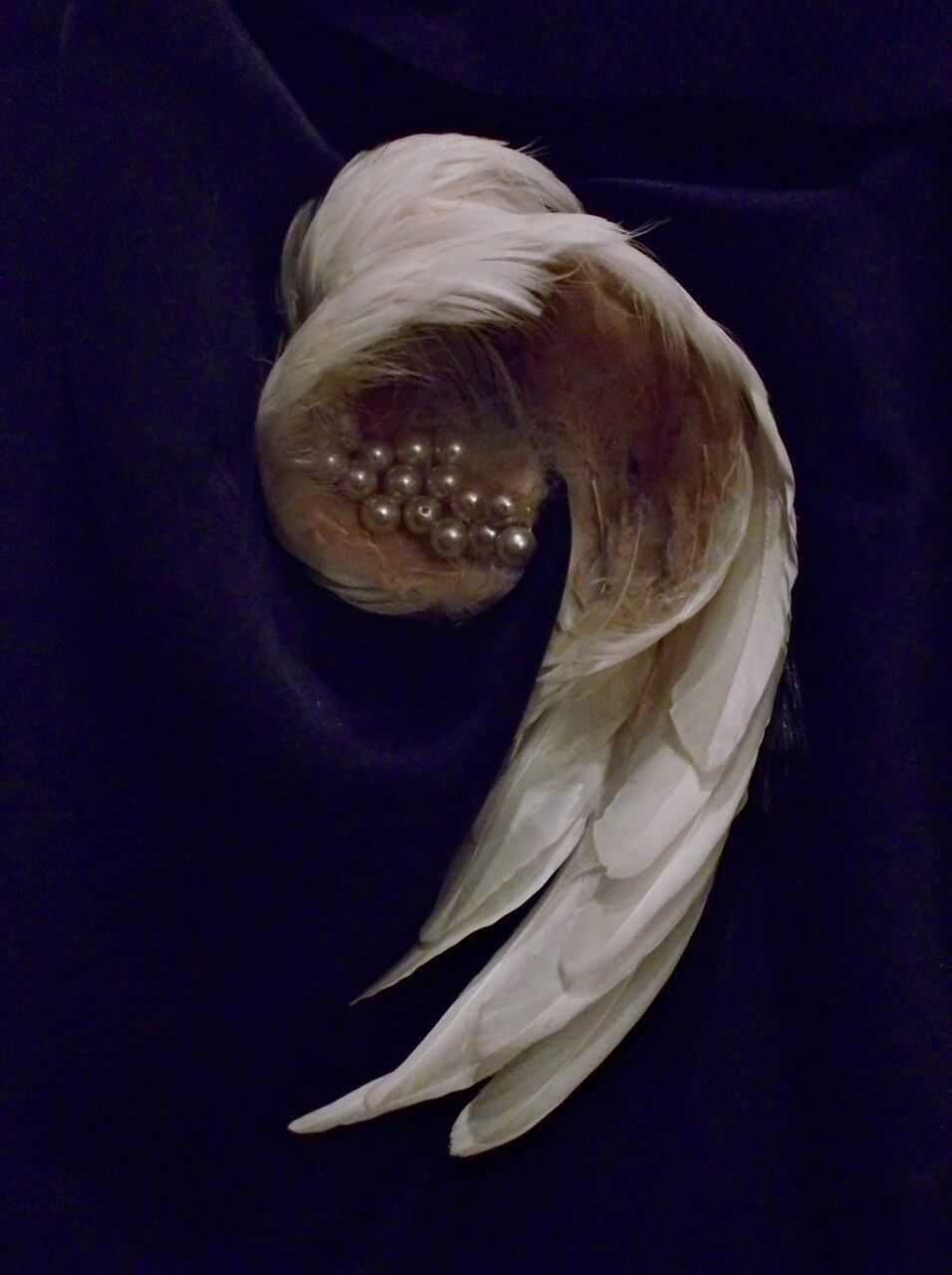  2013  silk, feathers, pearls, thread 