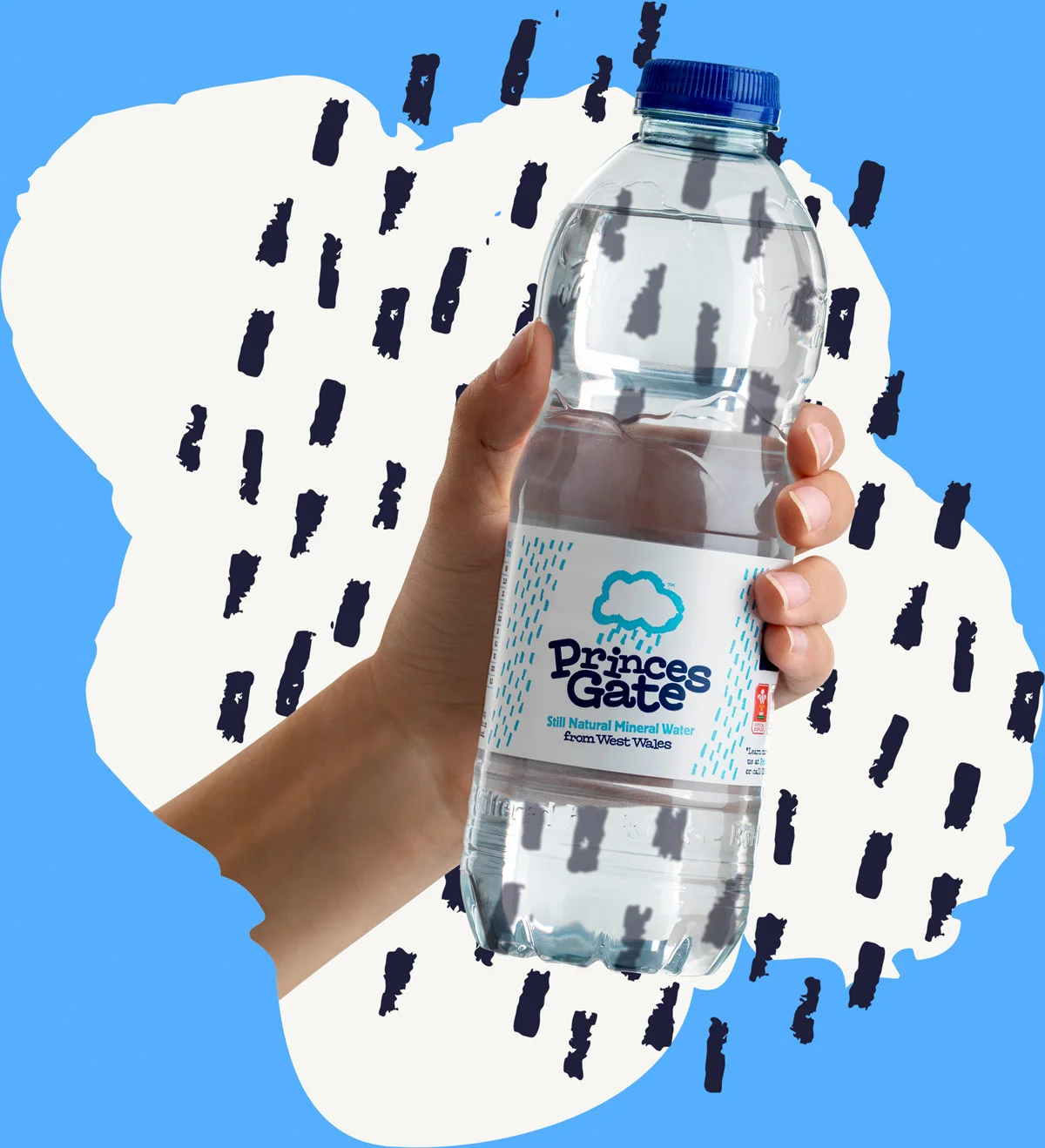 Princes Gate Natural Mineral Water from West Wales