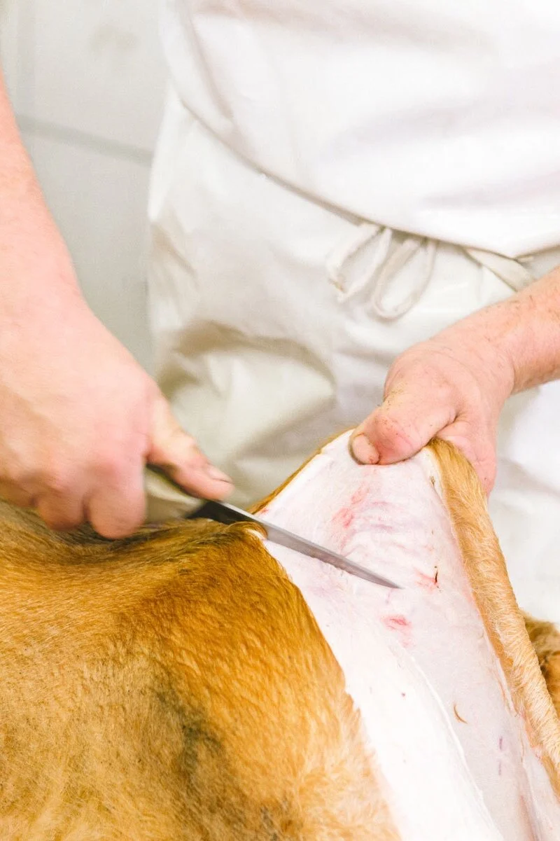LEIT-HELD-Pasture-Slaughter-Traceability-4.jpg
