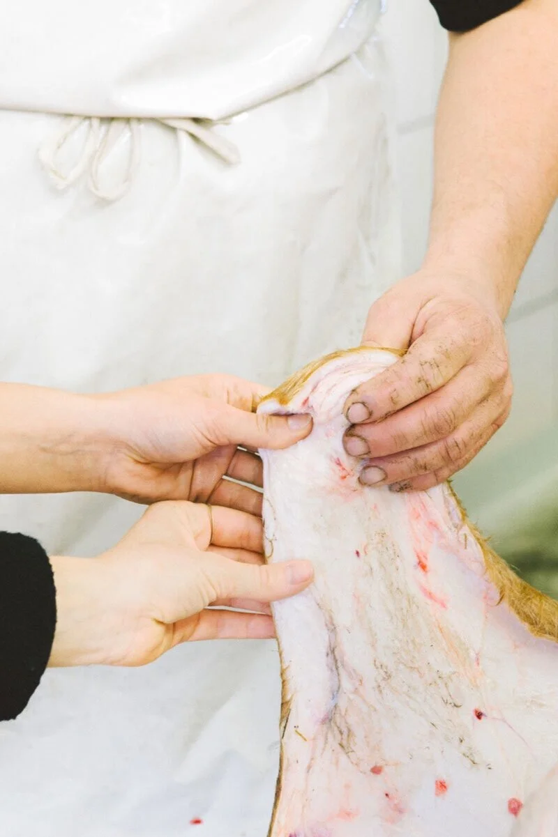 LEIT-HELD-Pasture-Slaughter-Traceability-3.jpg