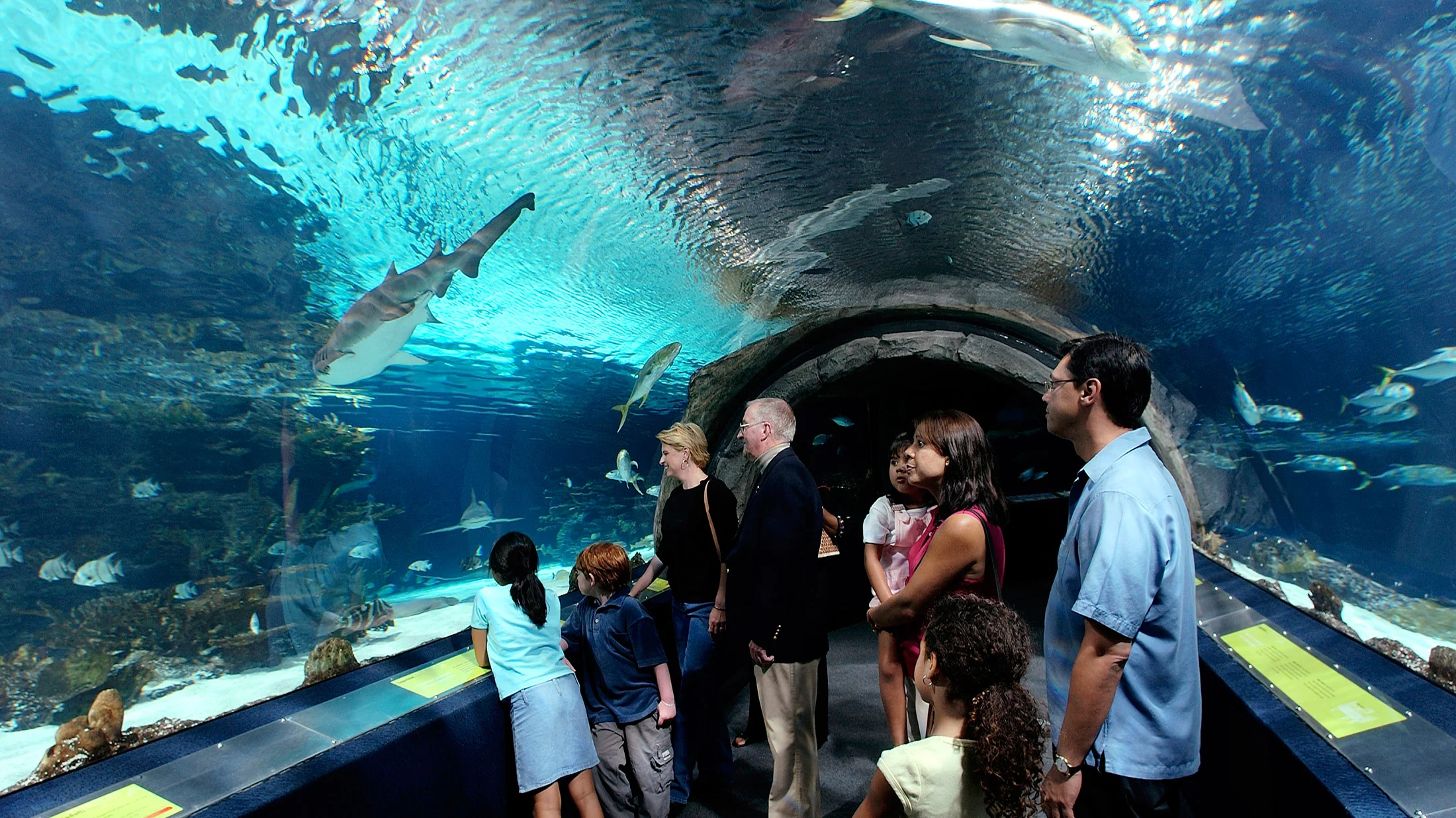 aquarium.jpg