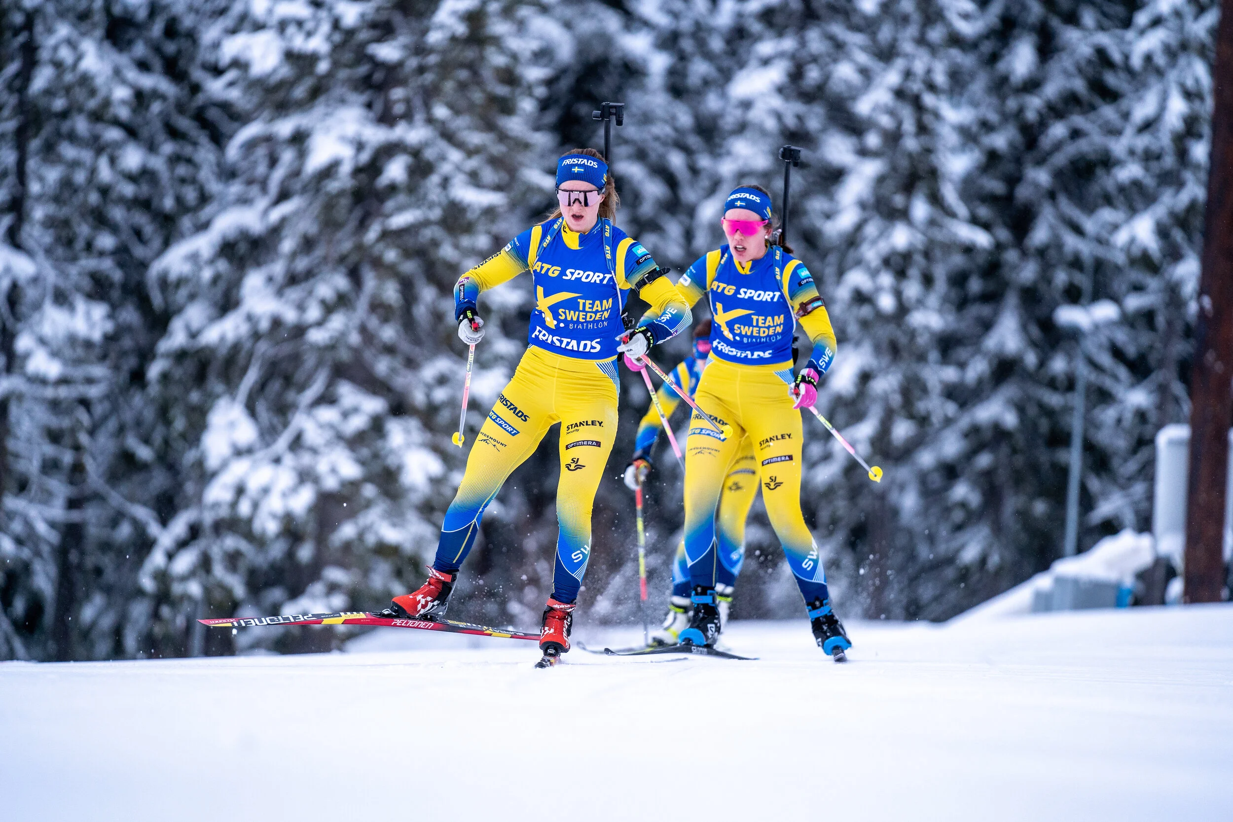 Organisation Och Uttagning Till A Landslaget Svenskt Skidskytte