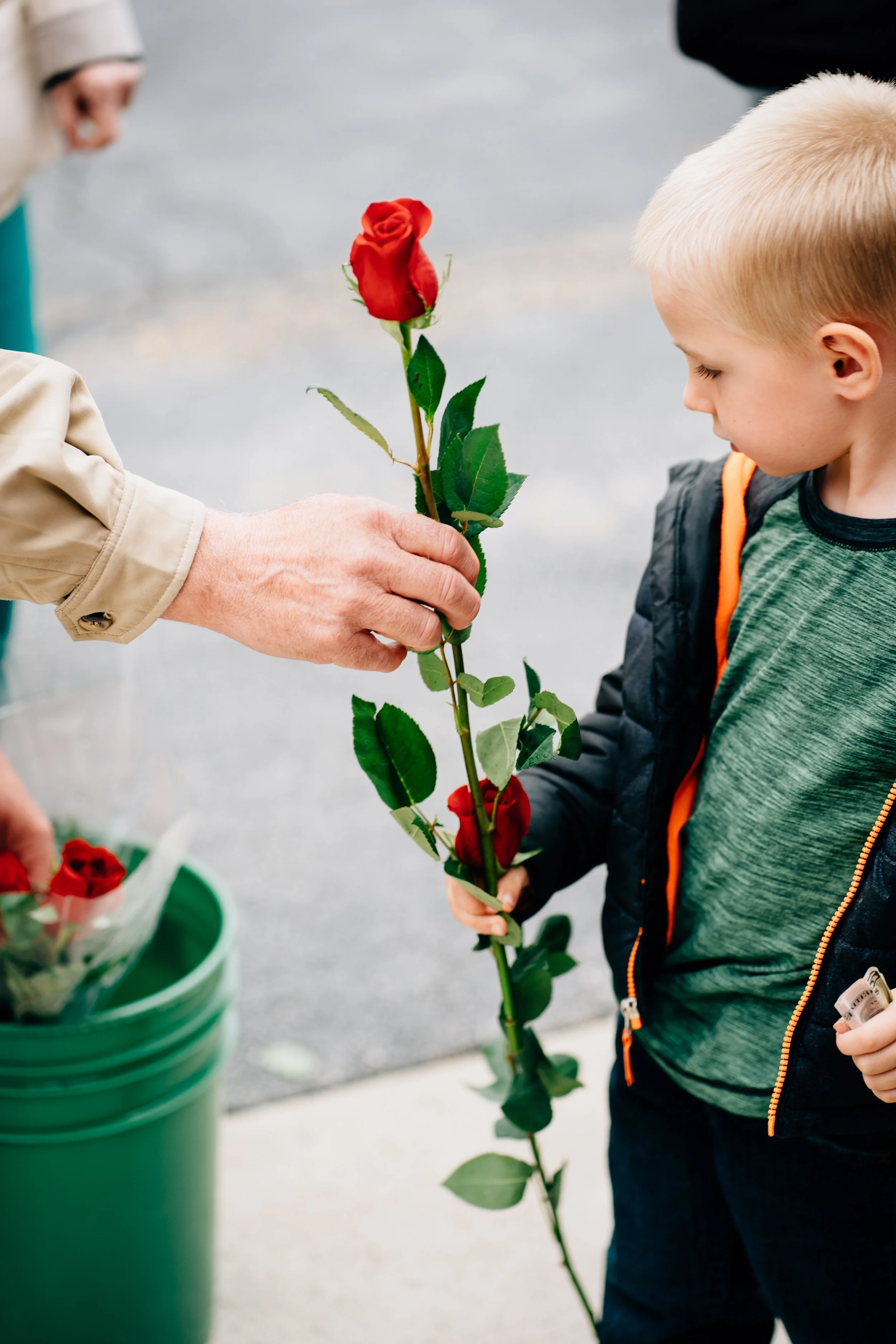Mother's Day Rose Sale